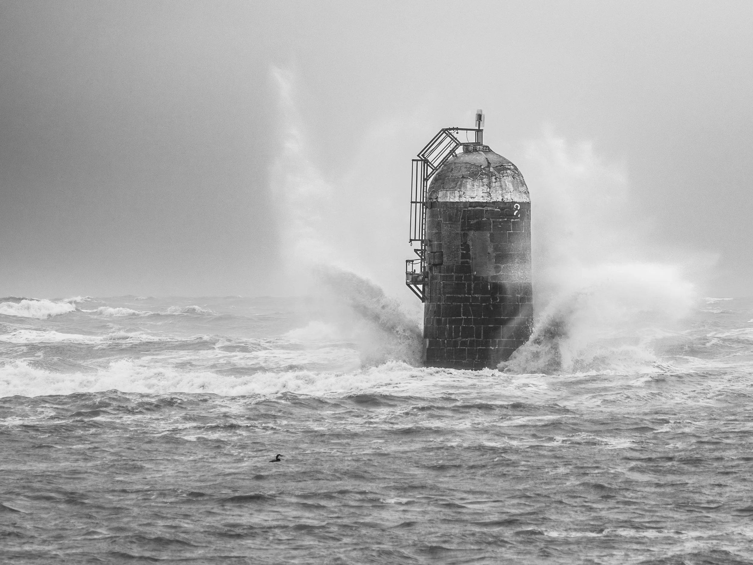 The Aleria - Mornington Beach Feb 26