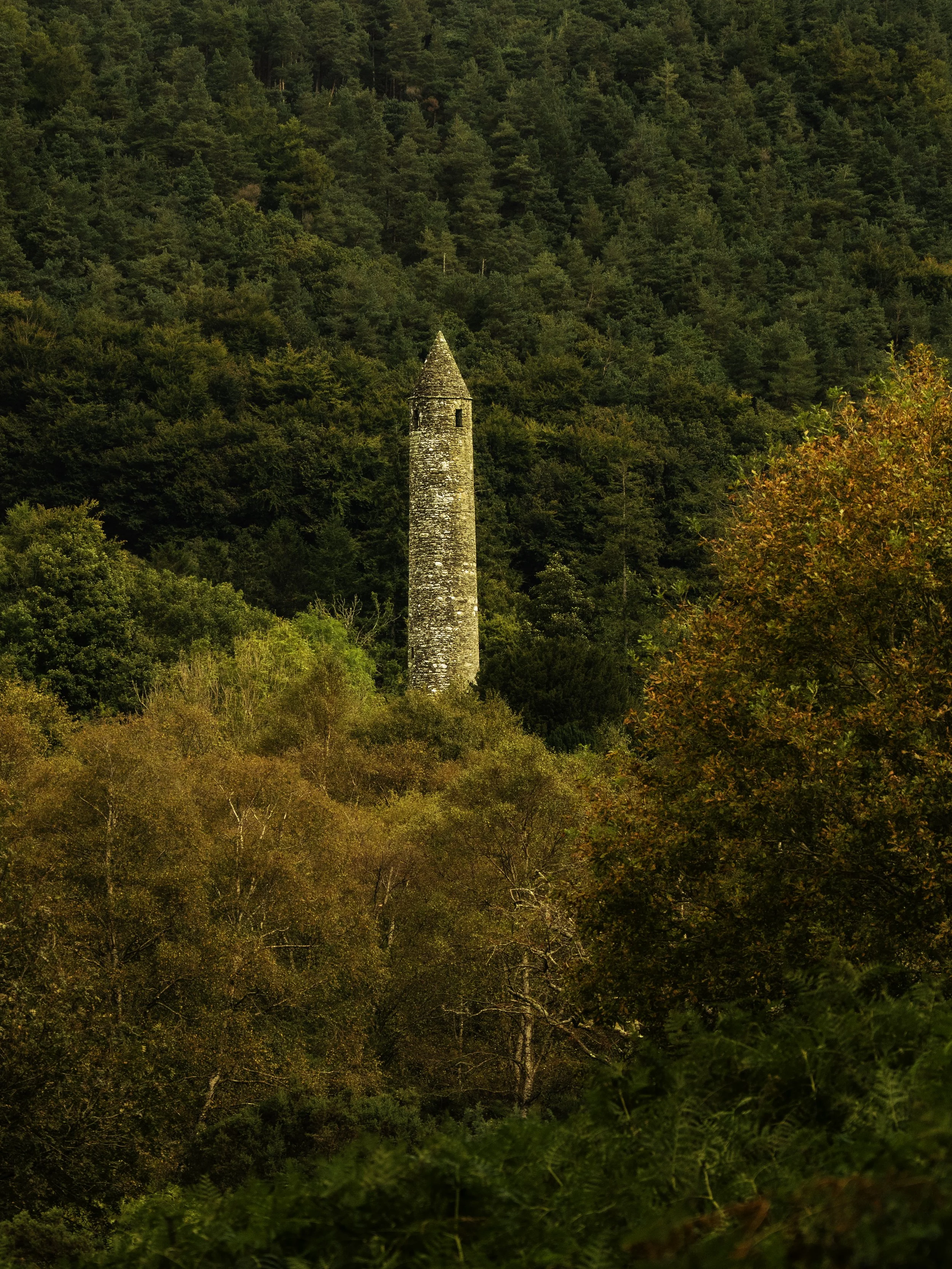 Round Tower in Glendalough as Autumn starts to fall. Late September 2025