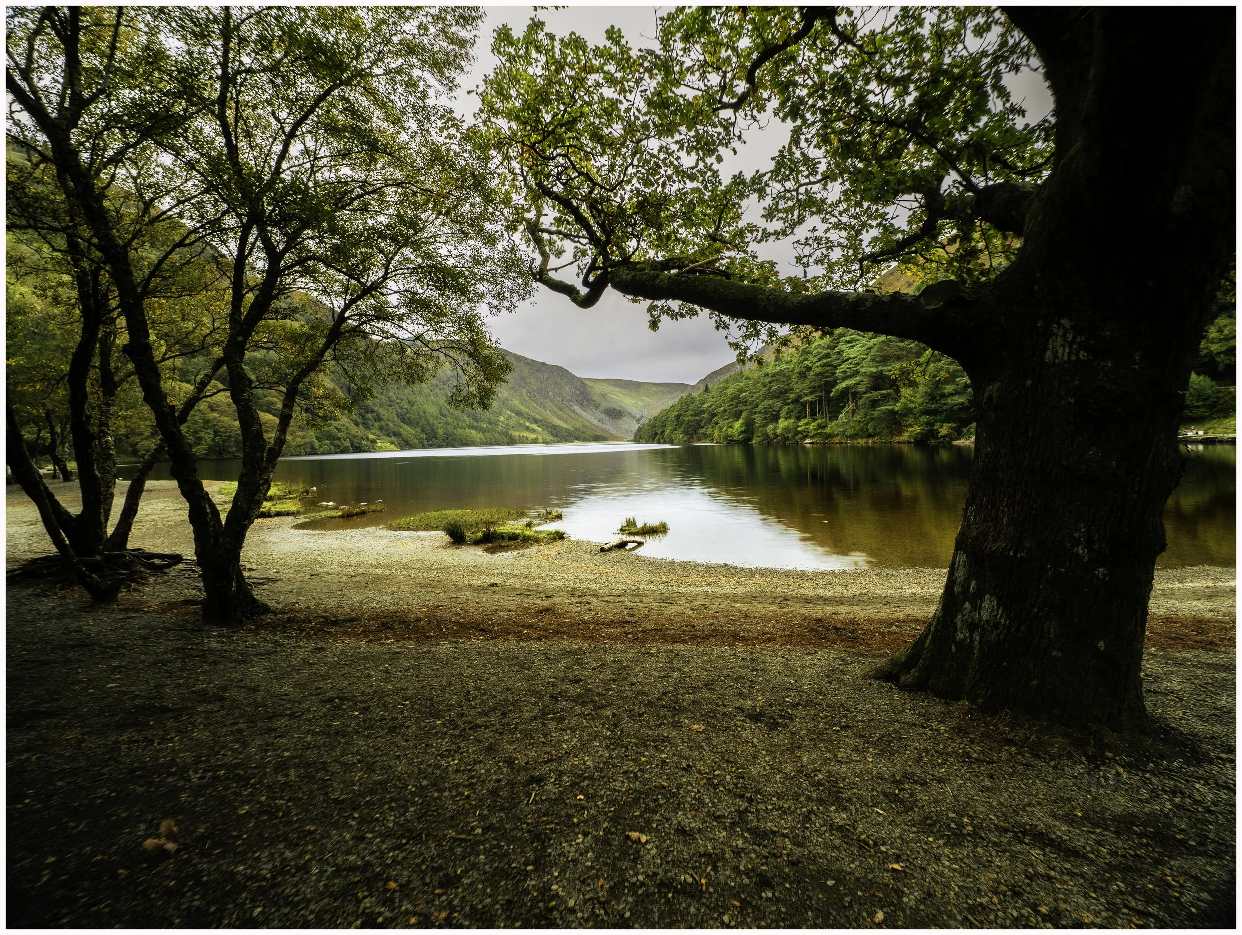 Upper Lake in Glendalough as Autumn starts to kick in. September 2025