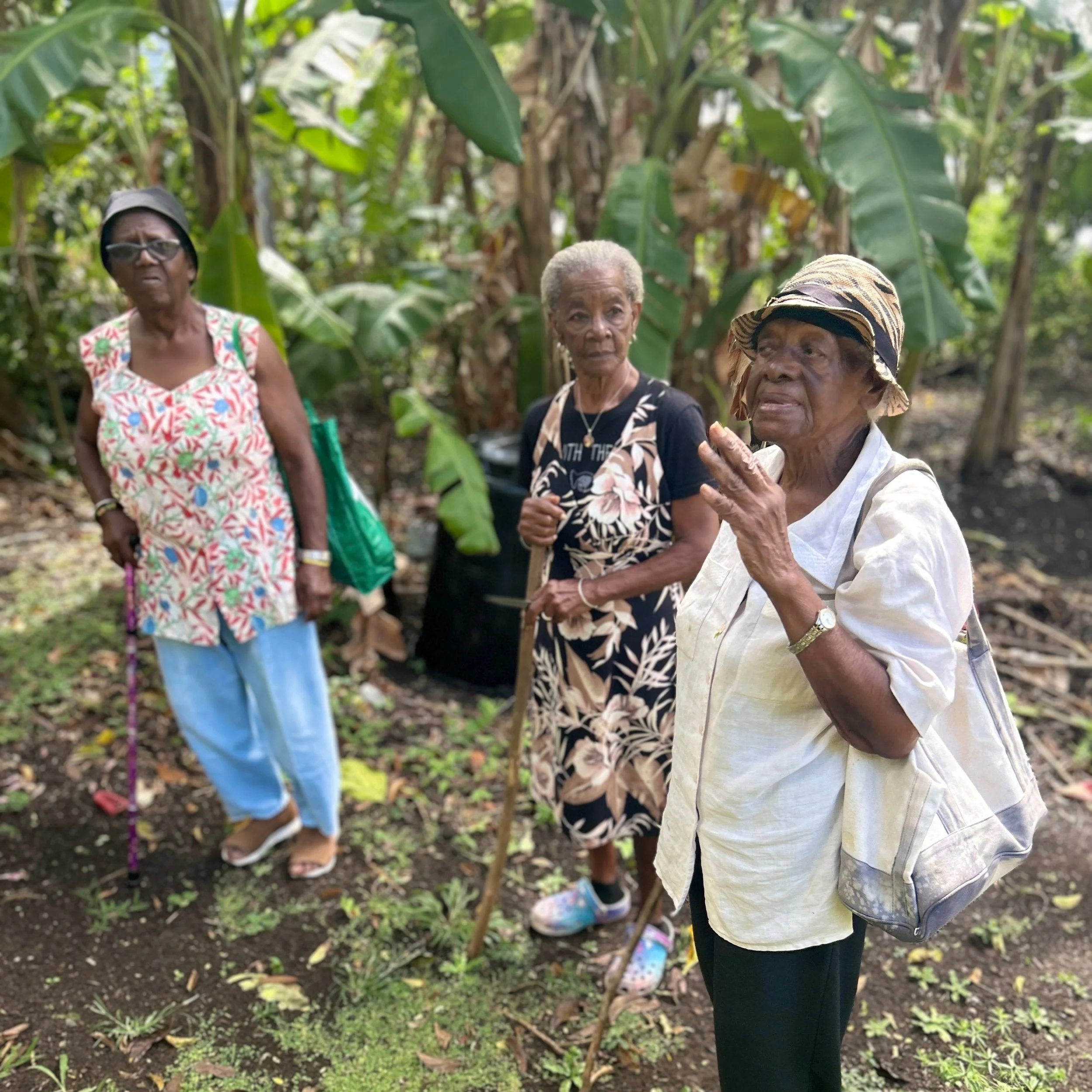 Edlyn touring the land of Lewisville with friends. 
