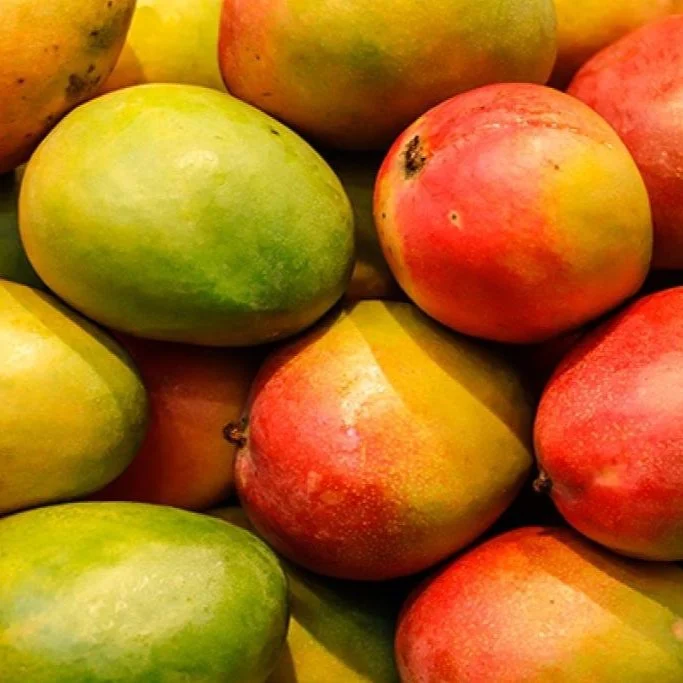 Organic Mango