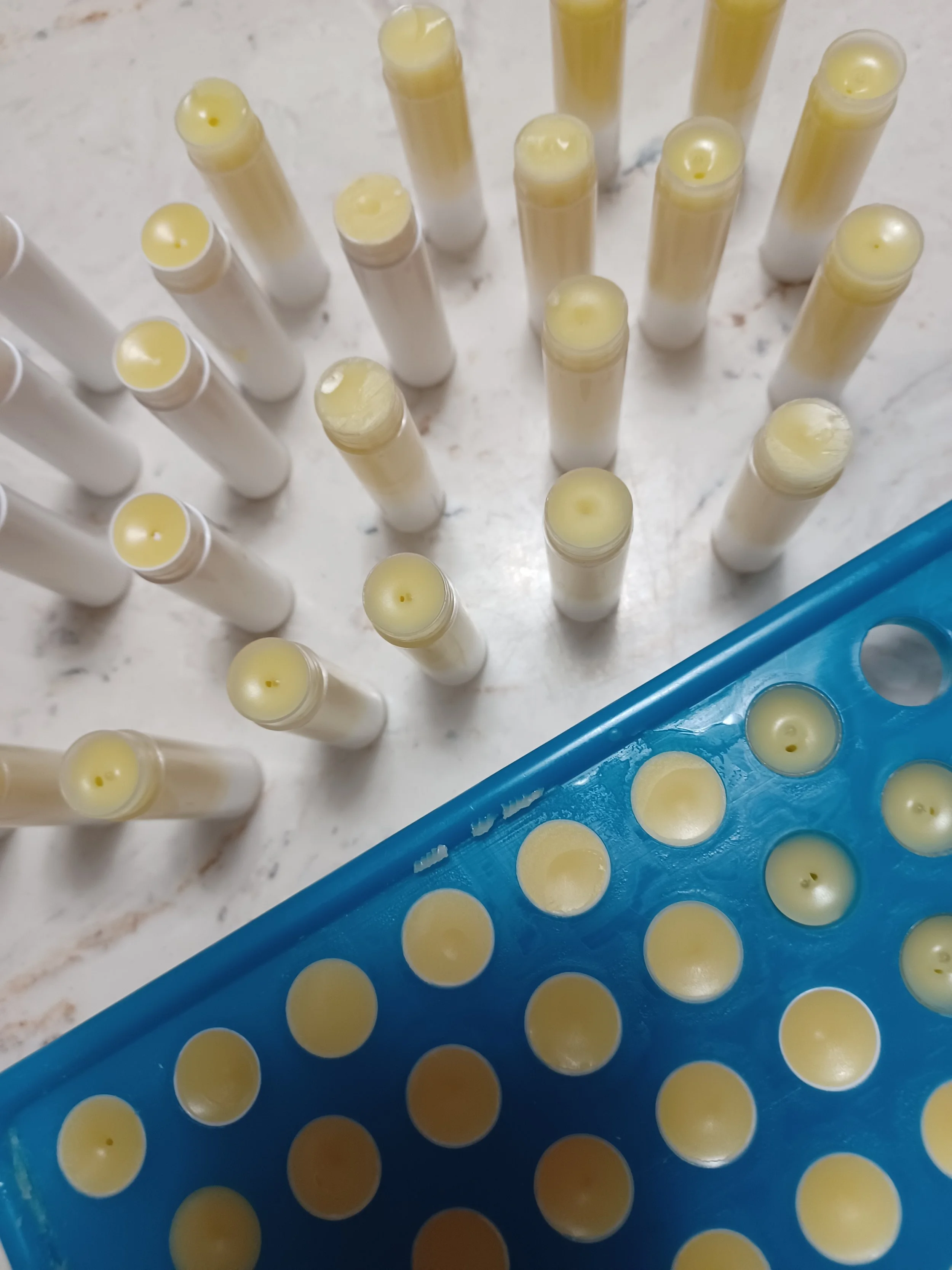 Salve & Lip Balm Making 6.jpg