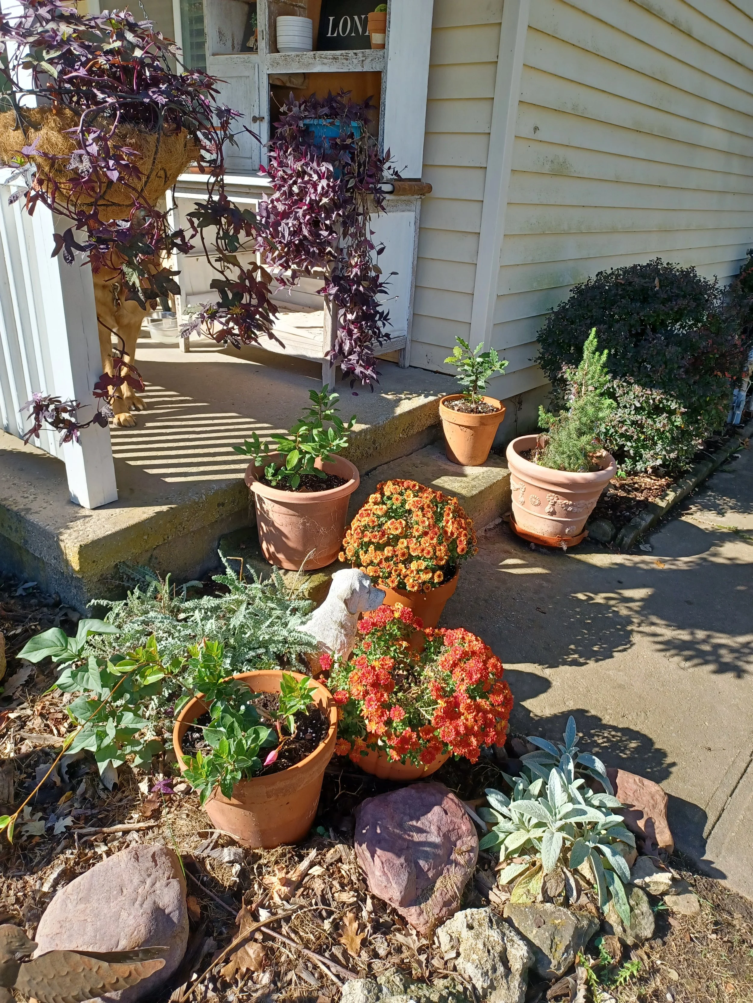 Porch pic Fall 2024.jpg