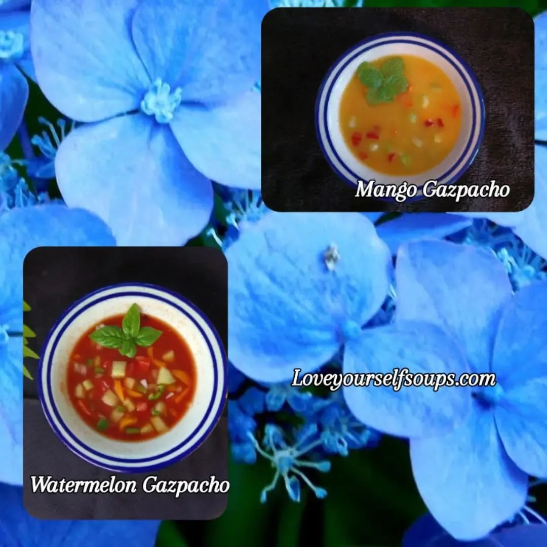 Gazpachos