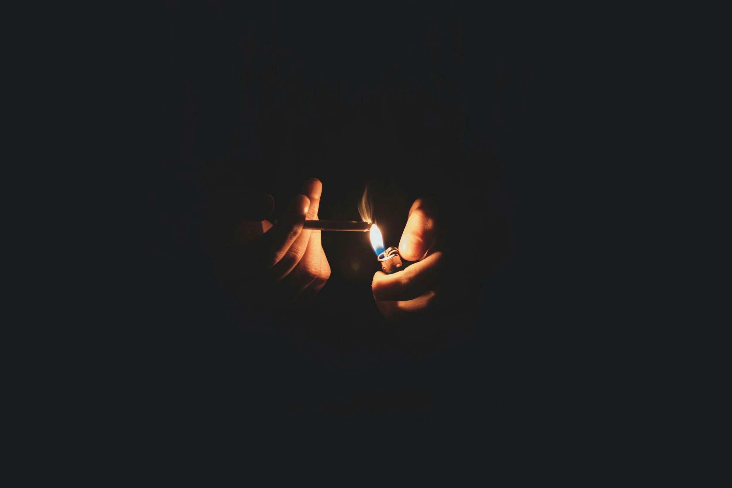 I Burn, Therefore I Am