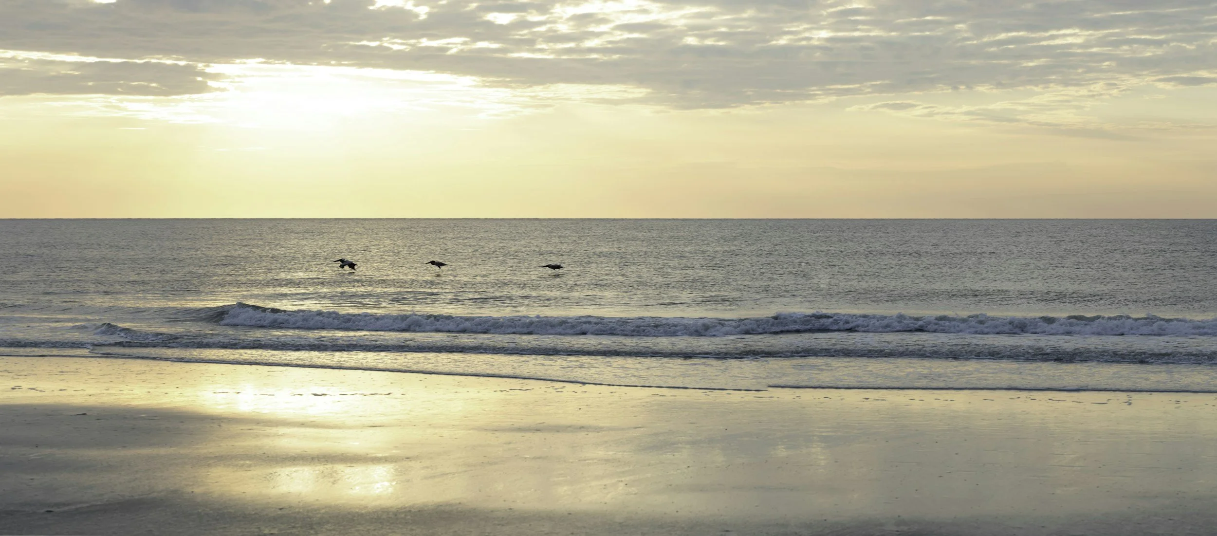 Tybee Island Shell Art Festival