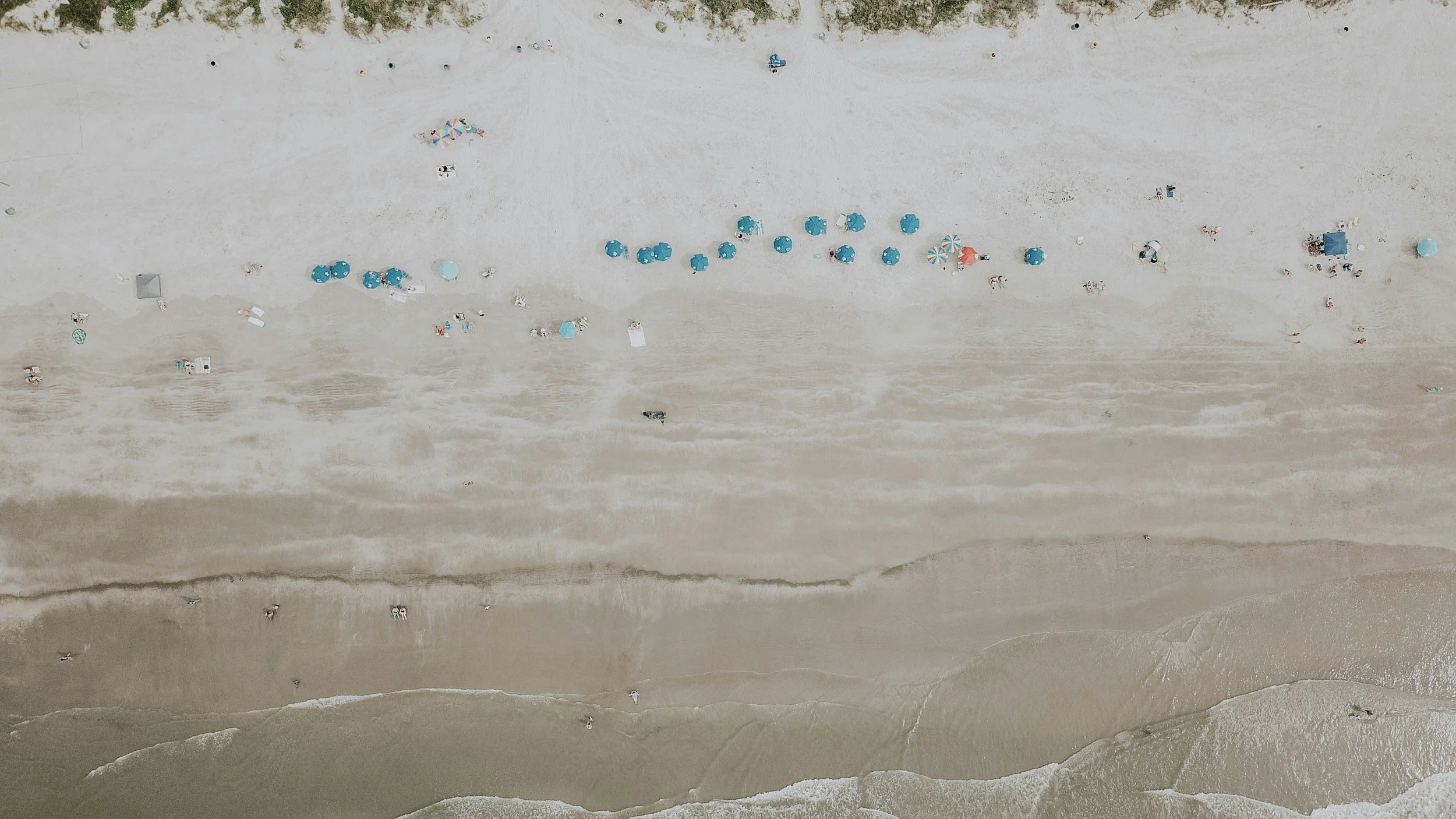 Charleston Fossil & Shell Fest