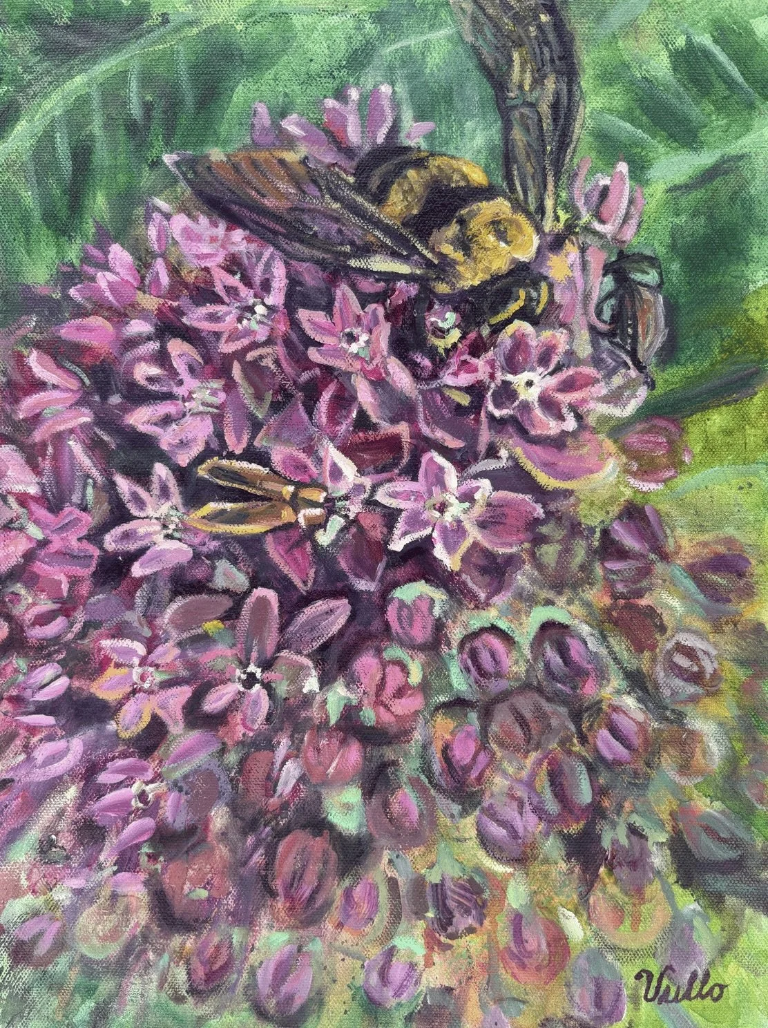The Magic of Milkweed