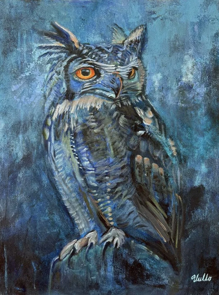 compressed photo owl.jpeg