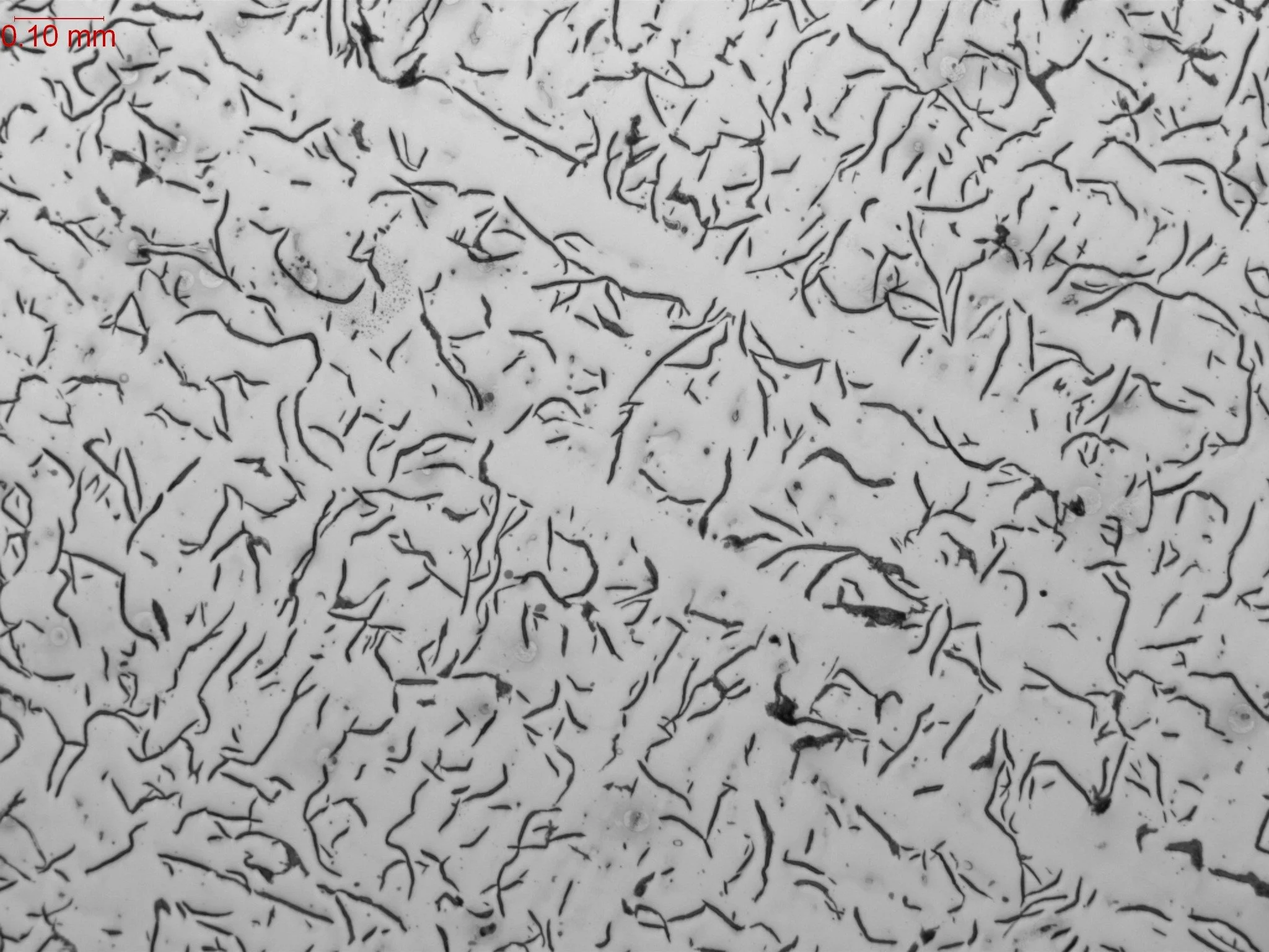 Interdendritic Flake Graphite As Polished.jpg