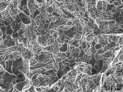 The Role of Metallurgists in Litigation Support