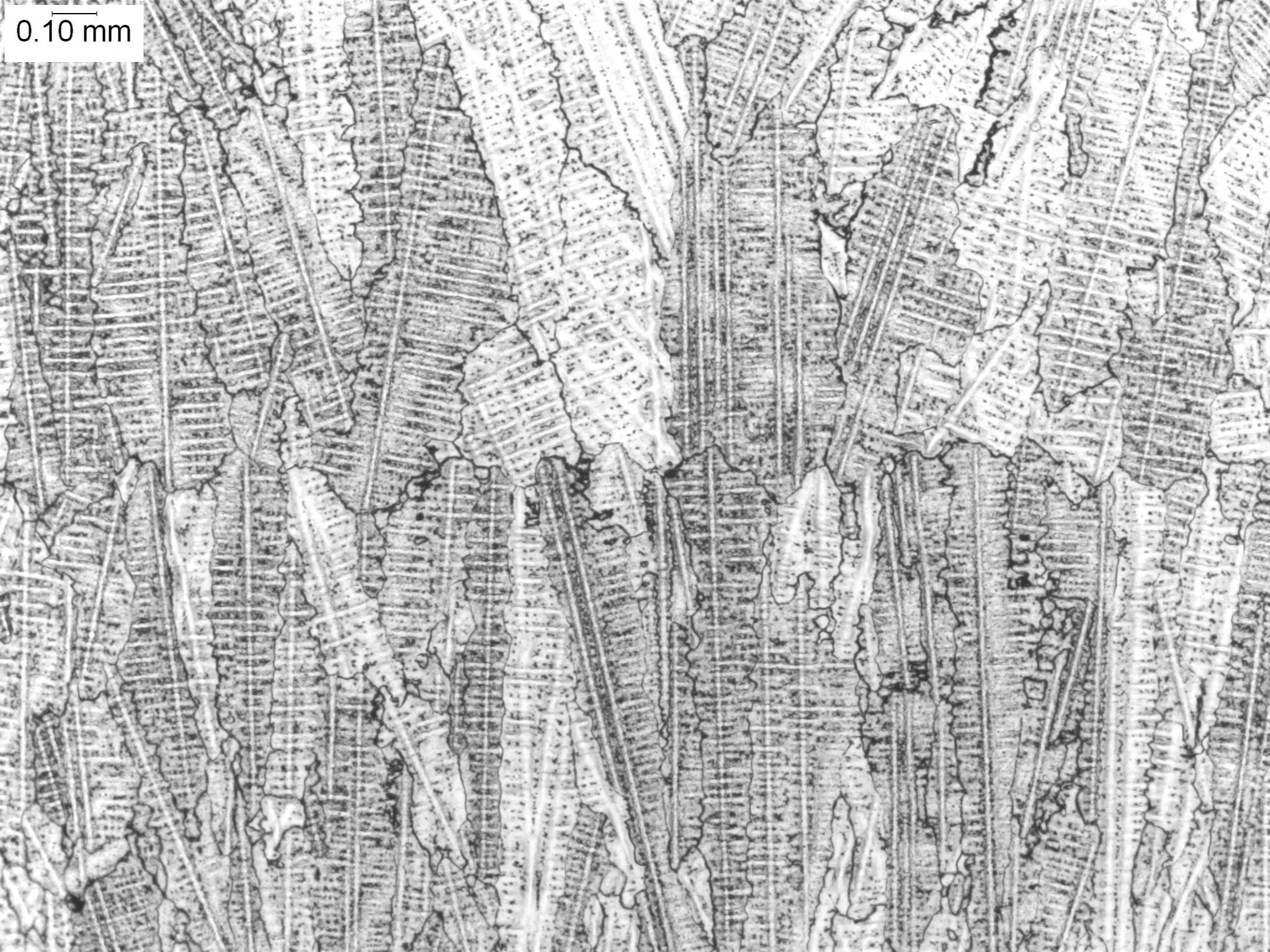 Cast Inconel 718, 100x, microstructural examination evaluating grain size distribution, dendritic segregation, and secondary phase precipitation in an aerospace nickel-base superalloy per ASTM E3 and ASTM E112 under ISO 17025 laboratory standards.
