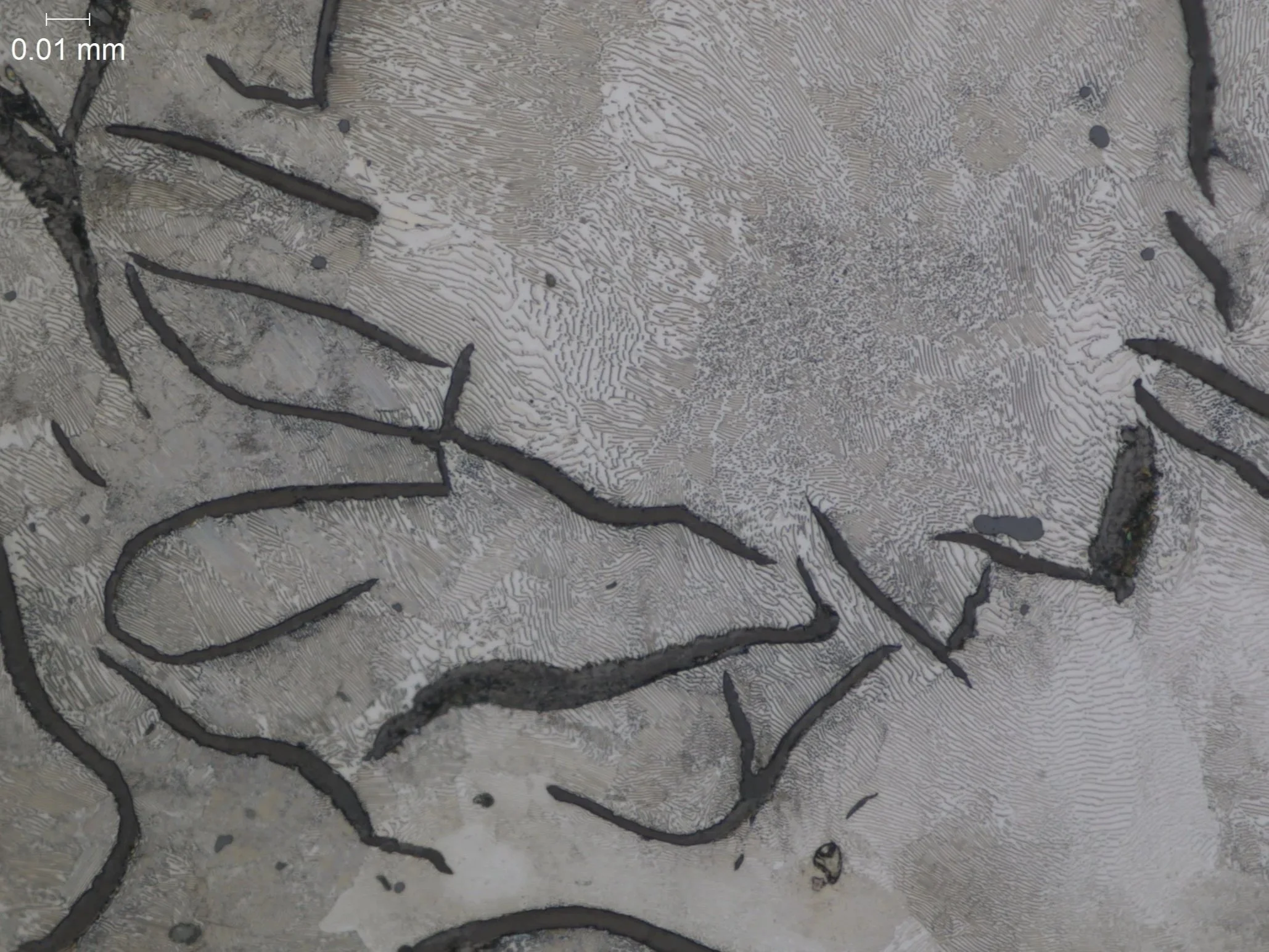 Gray Cast Iron, (etched) 500x, metallographic microstructural evaluation analyzing graphite flake morphology and distribution within a pearlitic matrix per ASTM A247 and ASTM E3 under ISO 17025 accredited laboratory standards.