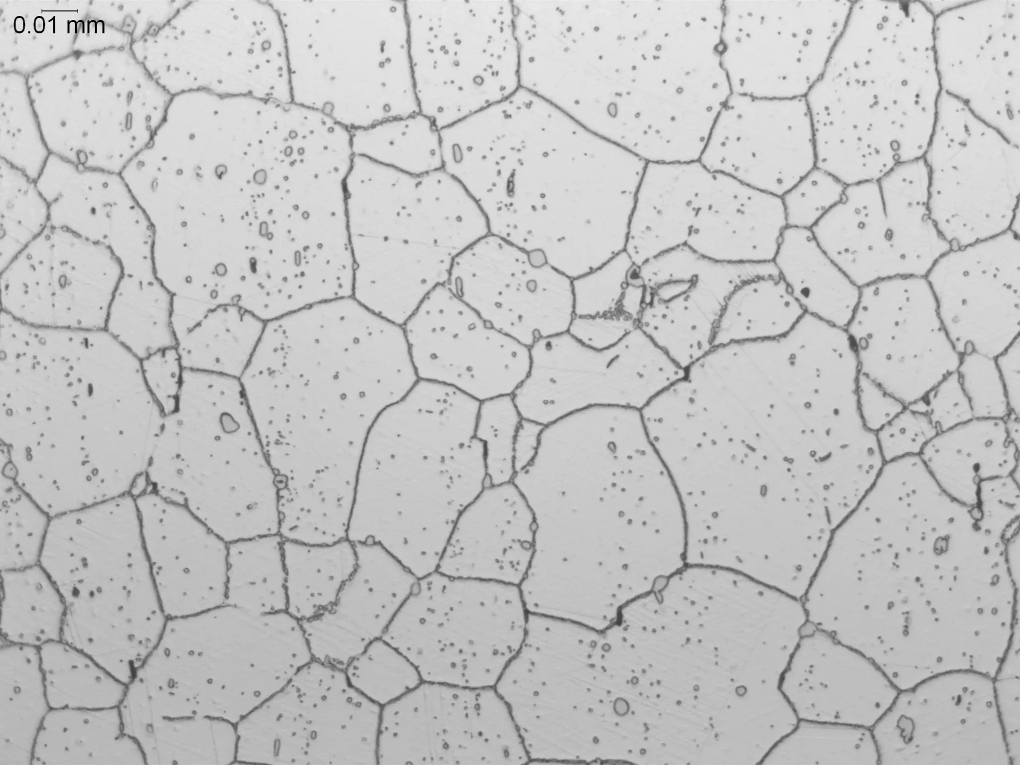 Haynes 188, microstructural analysis evaluating carbide morphology, grain boundary stability, and oxidation-resistant matrix structure in a cobalt-nickel-base superalloy component per AMS 5608 and ASTM E3 under ISO 17025 laboratory standards.