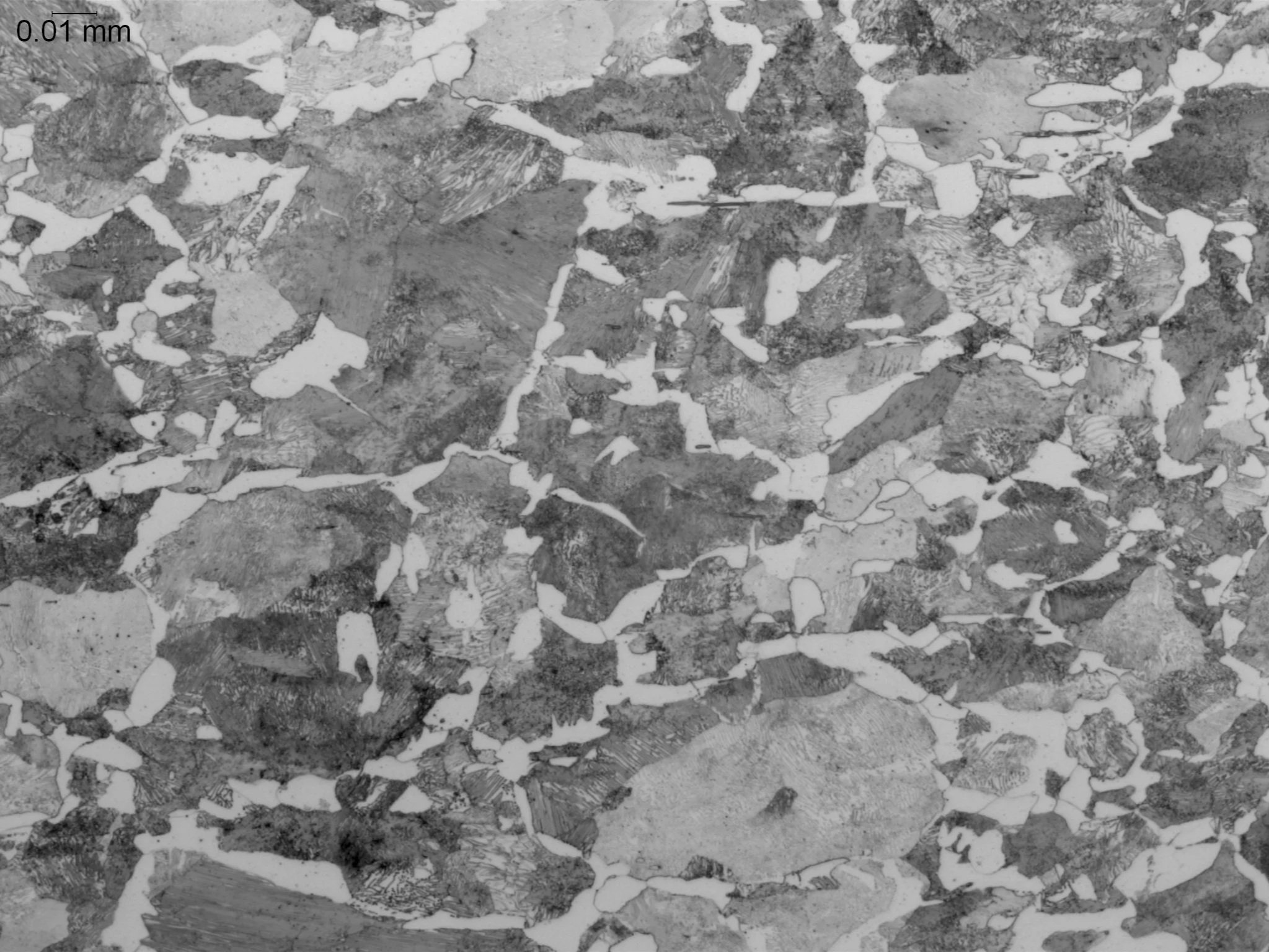 1045 Carbon Steel, (etched) 500x, metallographic microstructural evaluation analyzing the volume fraction and distribution of pearlite and proeutectoid ferrite phases per ASTM E3 and ASTM E112 under ISO 17025 accredited laboratory standards.