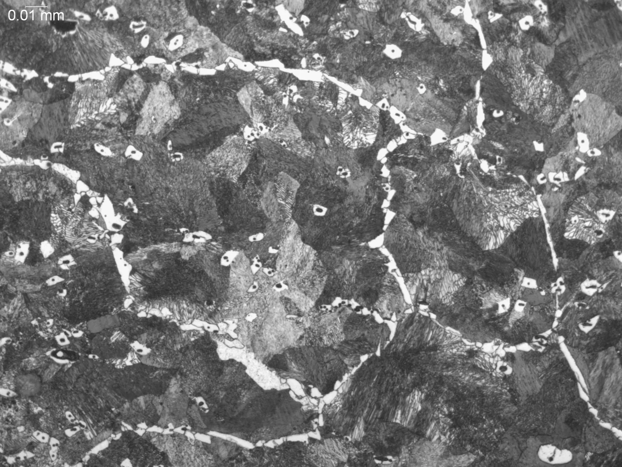 Ferrite at Prior Austenite Grain Boundary, metallographic microstructural evaluation analyzing proeutectoid ferrite morphology and grain boundary network distribution in a heat-treated steel alloy per ASTM E3 and ASTM E112 under ISO 17025 accredited 