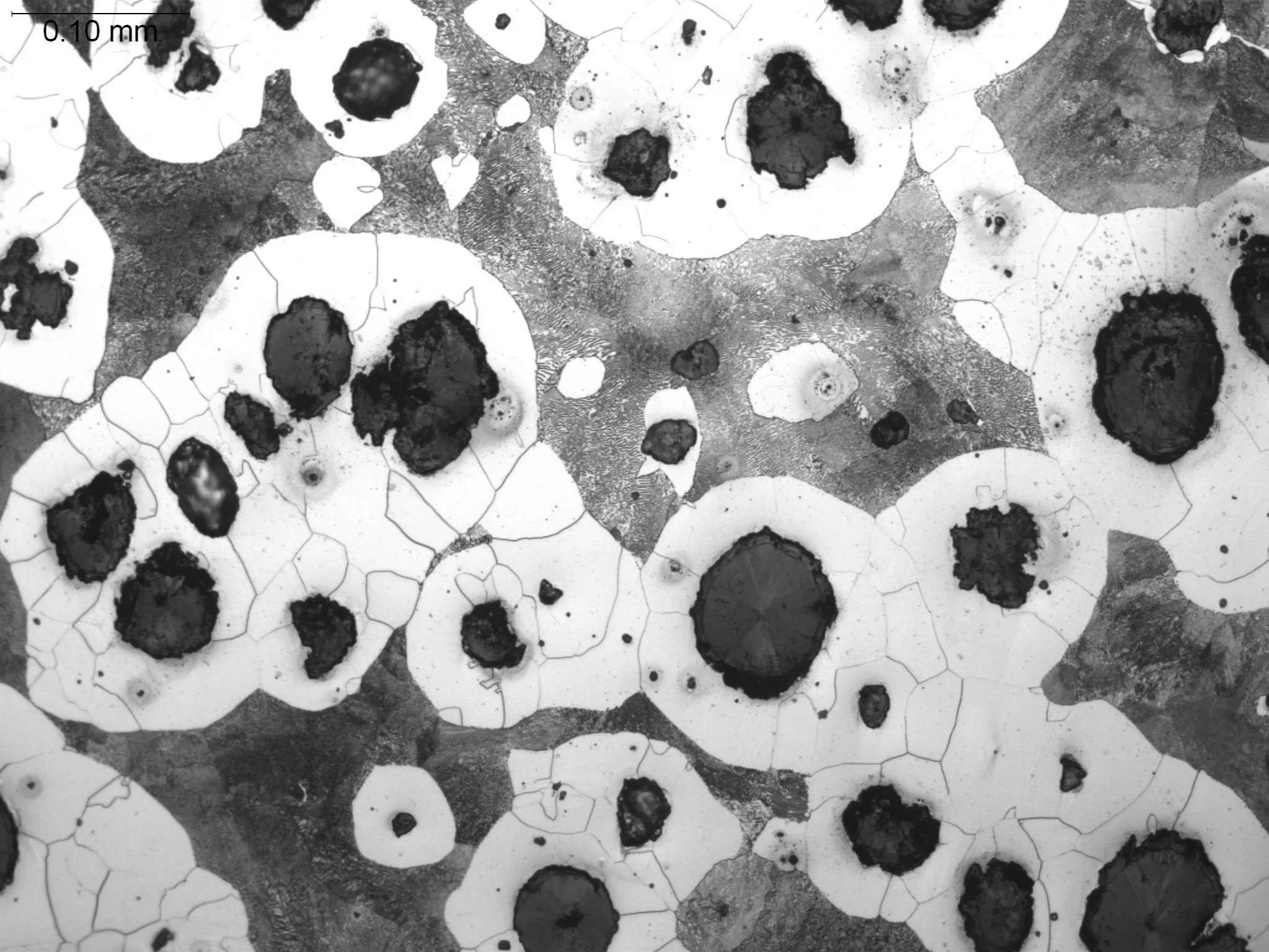 Ductile Cast Iron Ferrite-Pearlite, metallographic microstructural evaluation analyzing nodular graphite classification, nodularity percentage, and ferrite-pearlite matrix distribution per ASTM A247 and ASTM E3 under ISO 17025 accredited laboratory s