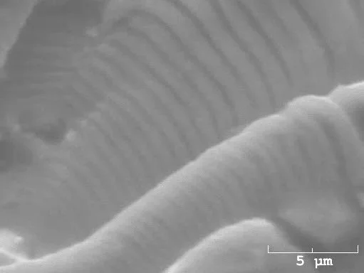 Aluminum fatigue showing micro-striation spacing and cyclic propagation morphology, scanning electron microscope SEM fractography evaluation identifying fatigue failure progression and crack advance per ASTM E3 under ISO 17025 accredited laboratory s