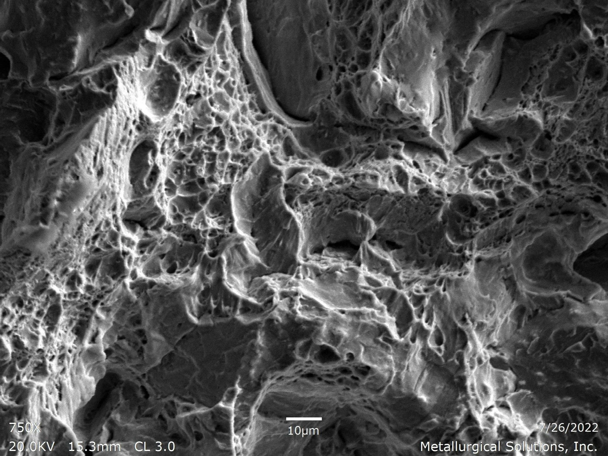 Close-up of a metallic or mineral surface under a microscope, showing intricate porous and layered structure.