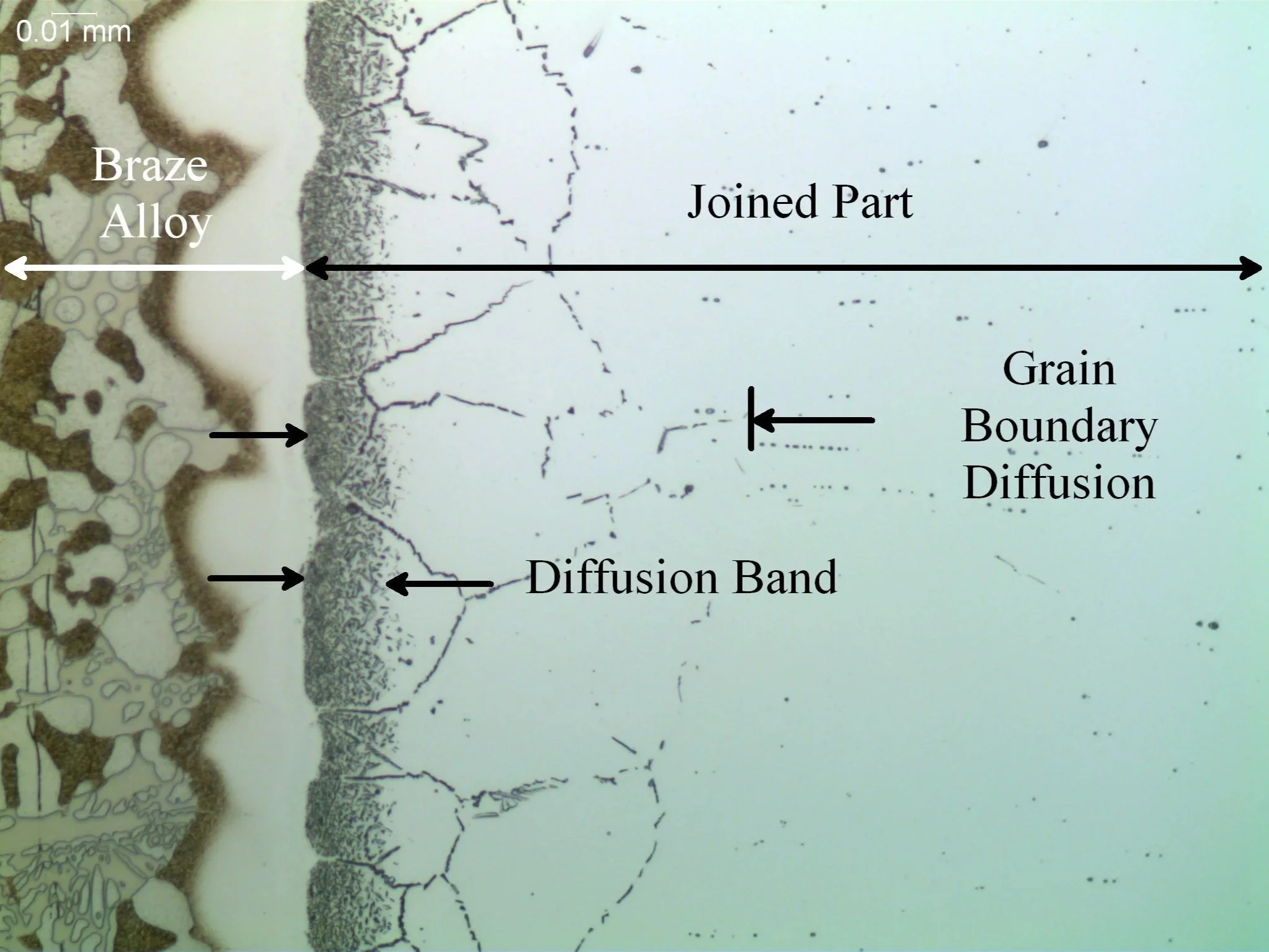 Braze alloy grain boundary diffusion, metallographic cross-sectional evaluation identifying a distinct interfacial diffusion band and an intergranular grain boundary diffusion network within the joined part per AWS C3.8M and ASTM E3 under ISO 17025 a