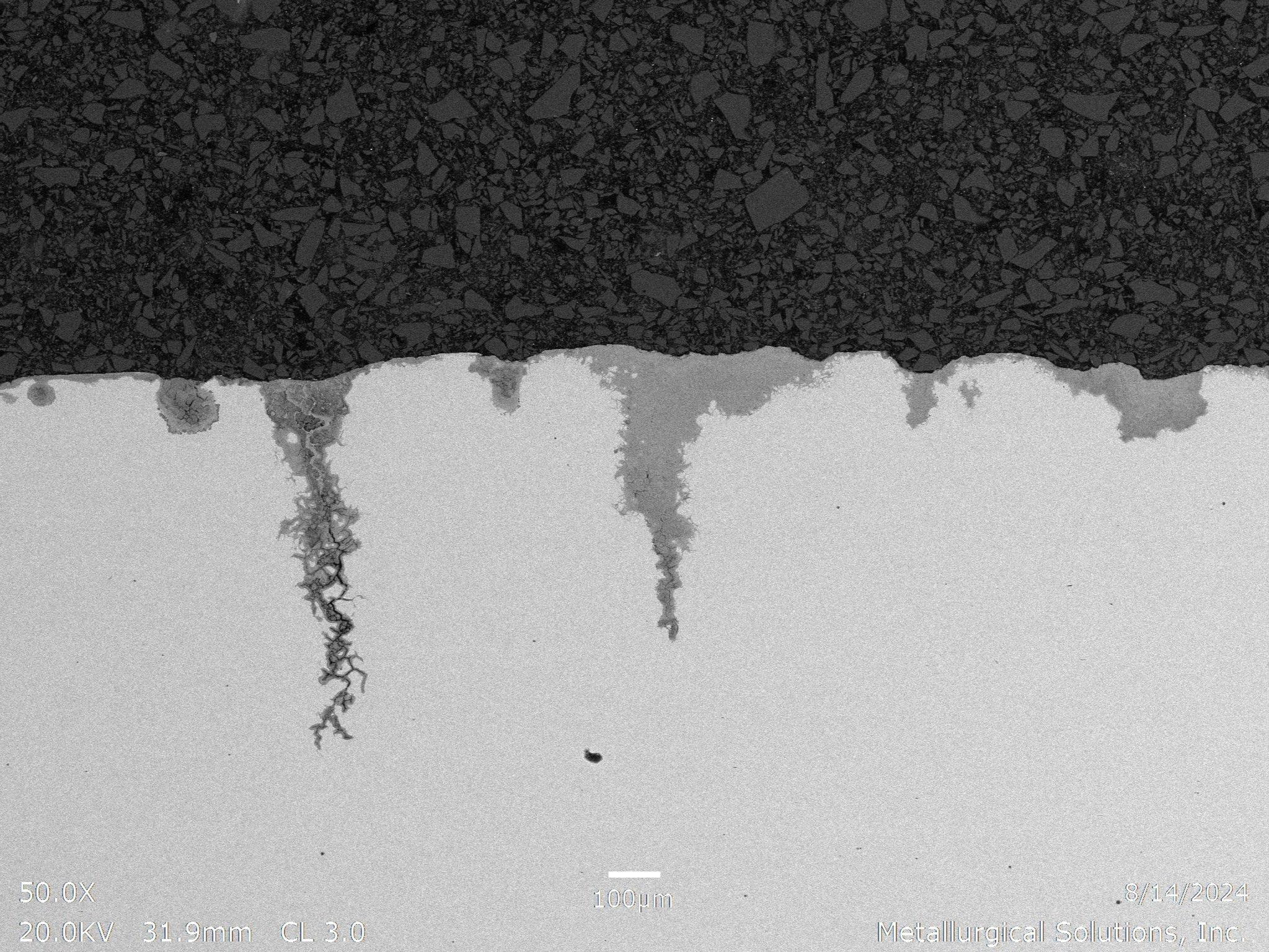 Stress corrosion cracking and intergranular corrosion 50x, scanning electron microscope SEM cross-sectional evaluation identifying branched stress corrosion cracking (SCC) paths, grain boundary oxidation penetration, and localized surface initiation 
