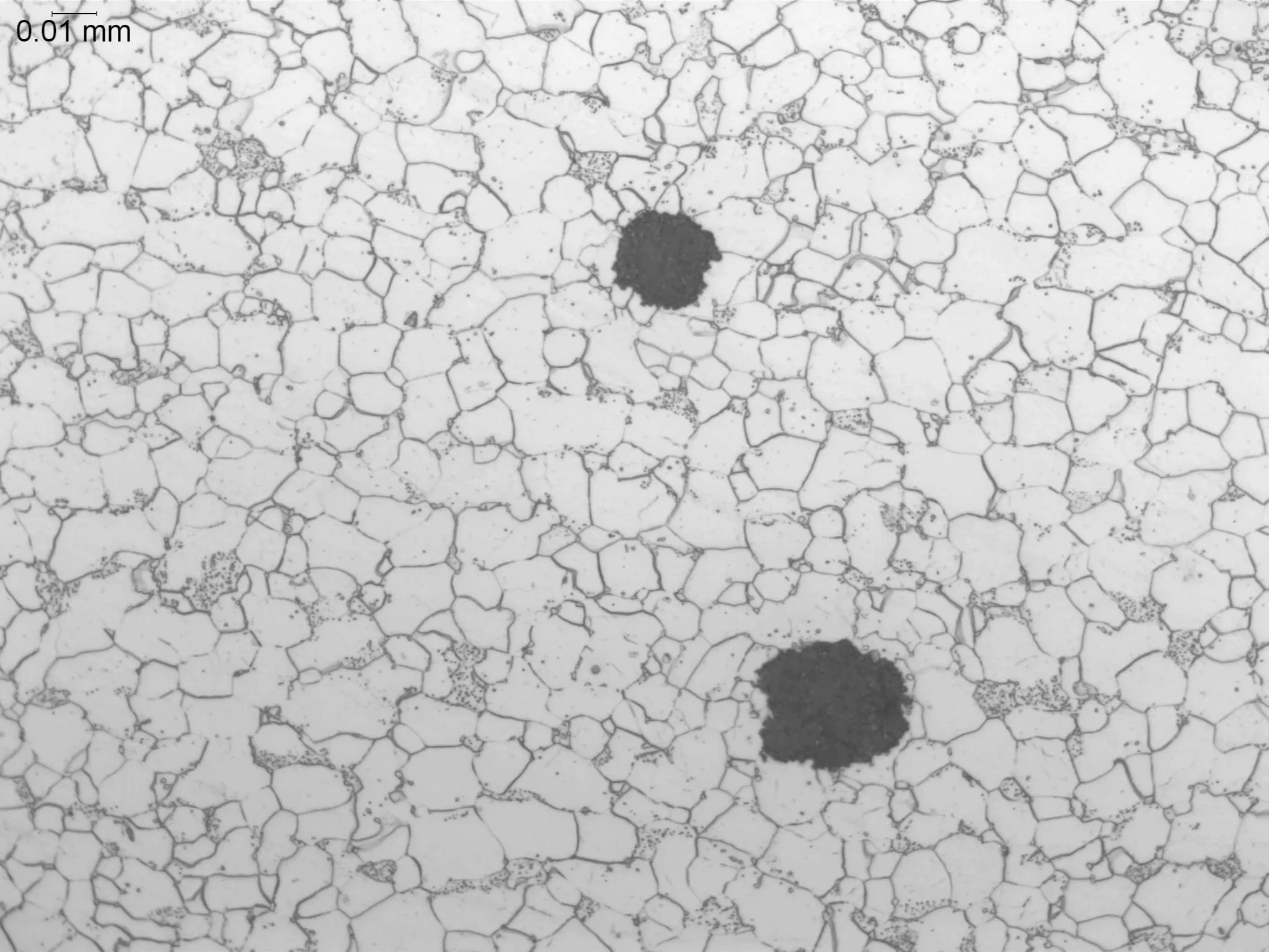Microstructural graphitization within a carbon steel boiler tube matrix, metallographic cross-sectional evaluation identifying nodular graphite phase formations, localized iron-carbide decomposition, and carbon migration zones within a ferrite crysta