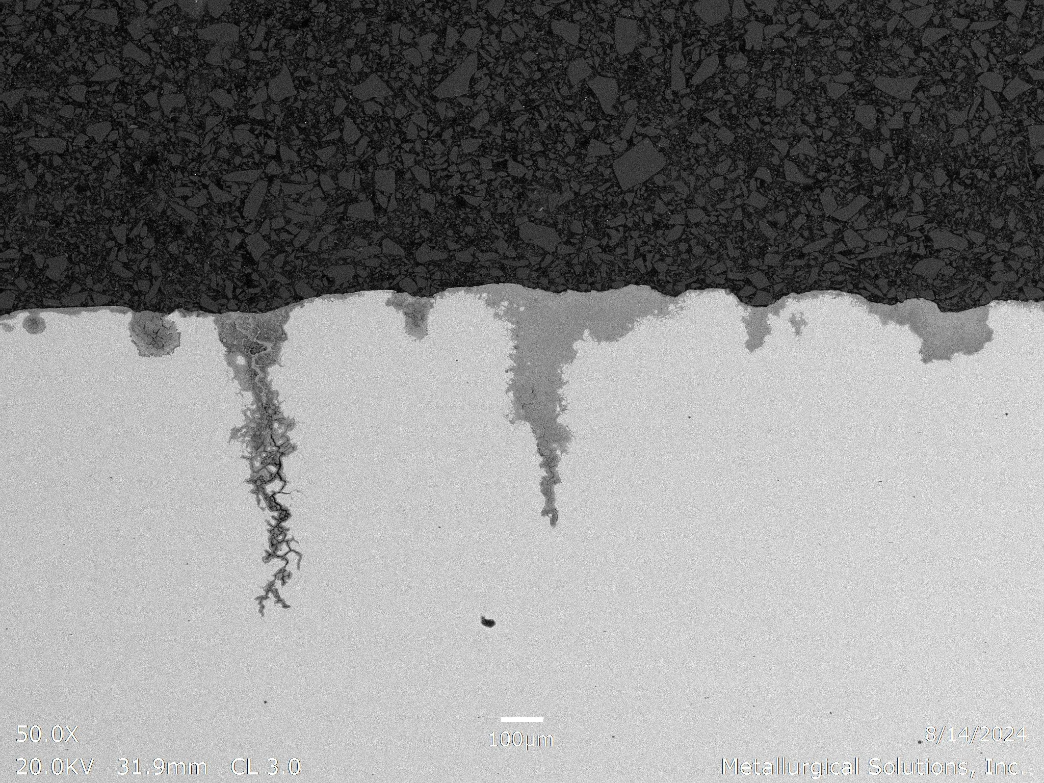 Stress corrosion cracking and intergranular corrosion 50x, scanning electron microscope SEM cross-sectional evaluation identifying branched stress corrosion cracking (SCC) paths, grain boundary oxidation penetration, and localized surface initiation 