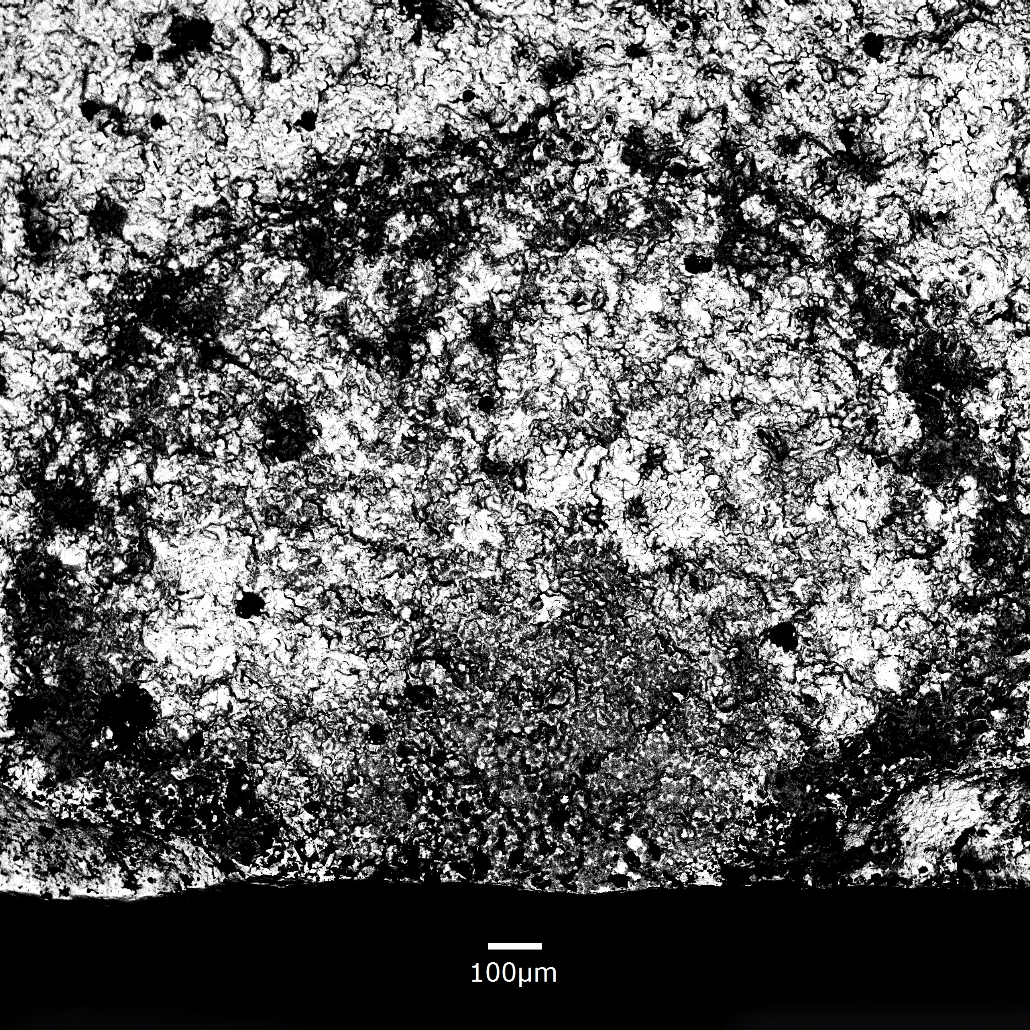 BEI Fracture Initiation 50xb.png