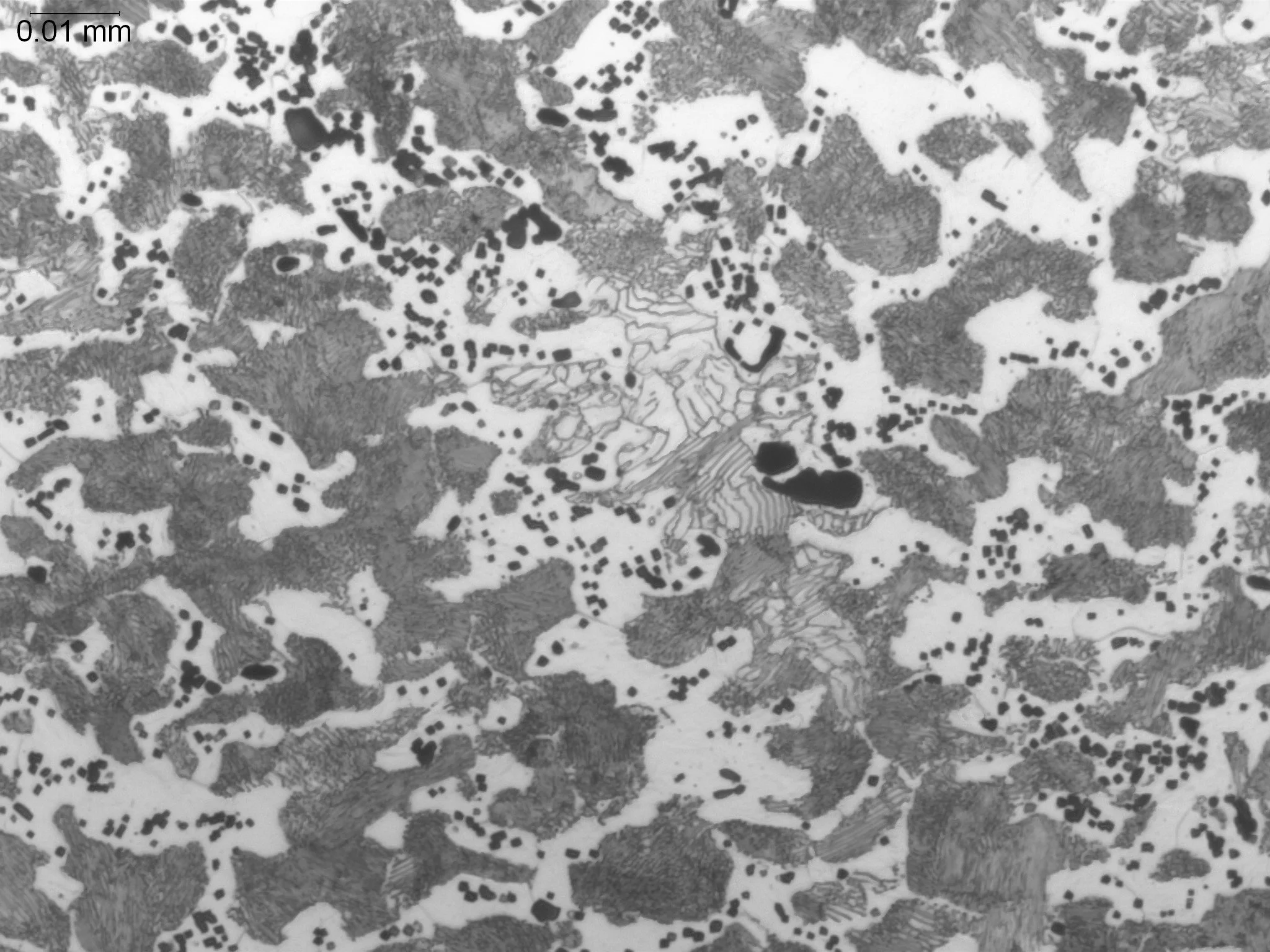 1144 Resulfurized Carbon Steel, microstructural examination analyzing elongated manganese sulfide (MnS) inclusions, pearlite colony distribution, and free-machining phase banding per ASTM E45 and ASTM E3 under ISO 17025 accredited laboratory standard