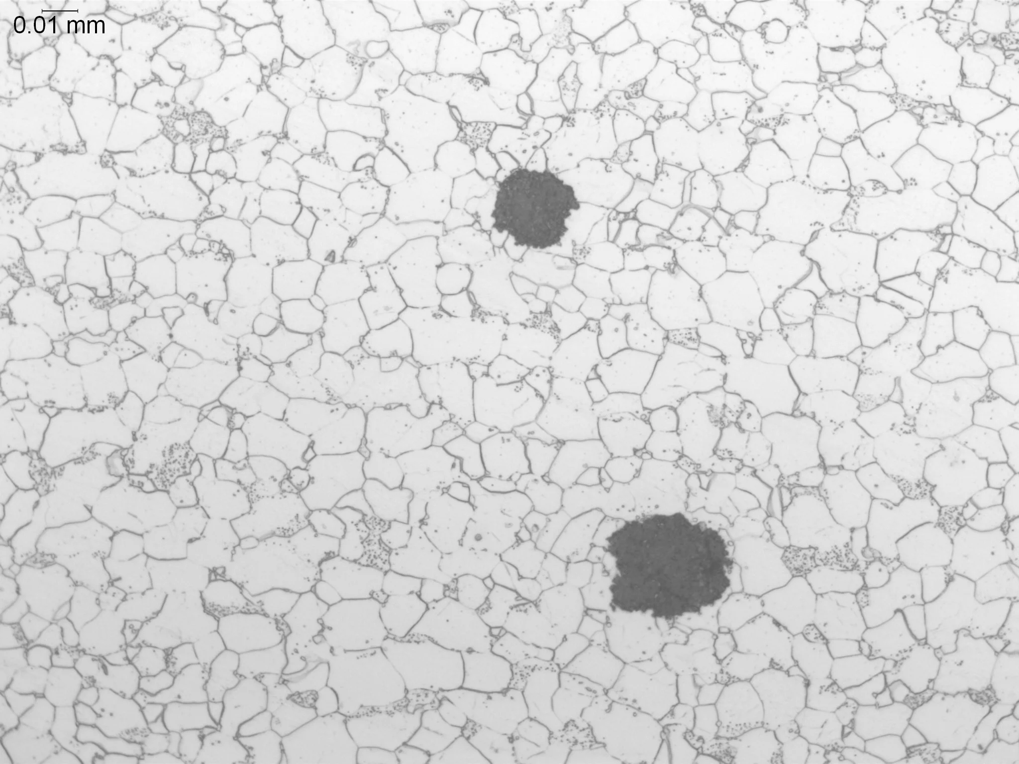 Microstructural graphitization within a carbon steel boiler tube matrix, metallographic cross-sectional evaluation identifying nodular graphite phase formations, localized iron-carbide decomposition, and carbon migration zones within a ferrite crysta