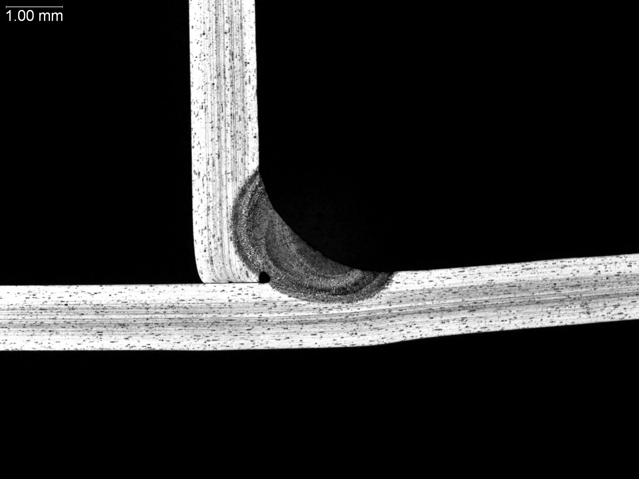Fillet weld in austenitic stainless steel, macro-etch cross-sectional evaluation showing weld profile geometry, fusion line depth, root gap clearance, and elongated base metal sheet grain morphology per AWS D1.6 and ASTM E340 under ISO 17025 accredit