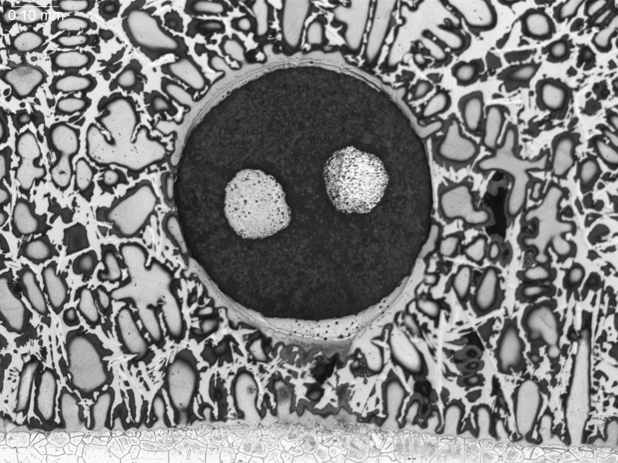 Base metal erosion in a brazed thermocouple assembly 100x, metallographic cross-sectional evaluation revealing active base metal erosion morphology, localized parent metal dissolution boundaries, and a solidified dendritic braze alloy eutectic phase 