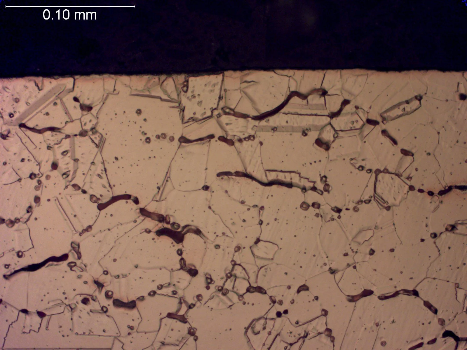 Hydrogen embrittlement (HE) within a tough pitch copper matrix, metallographic cross-sectional evaluation identifying extensive intergranular micro-fissuring, grain boundary void coalescence, and steam reaction cavity networks within an etched copper