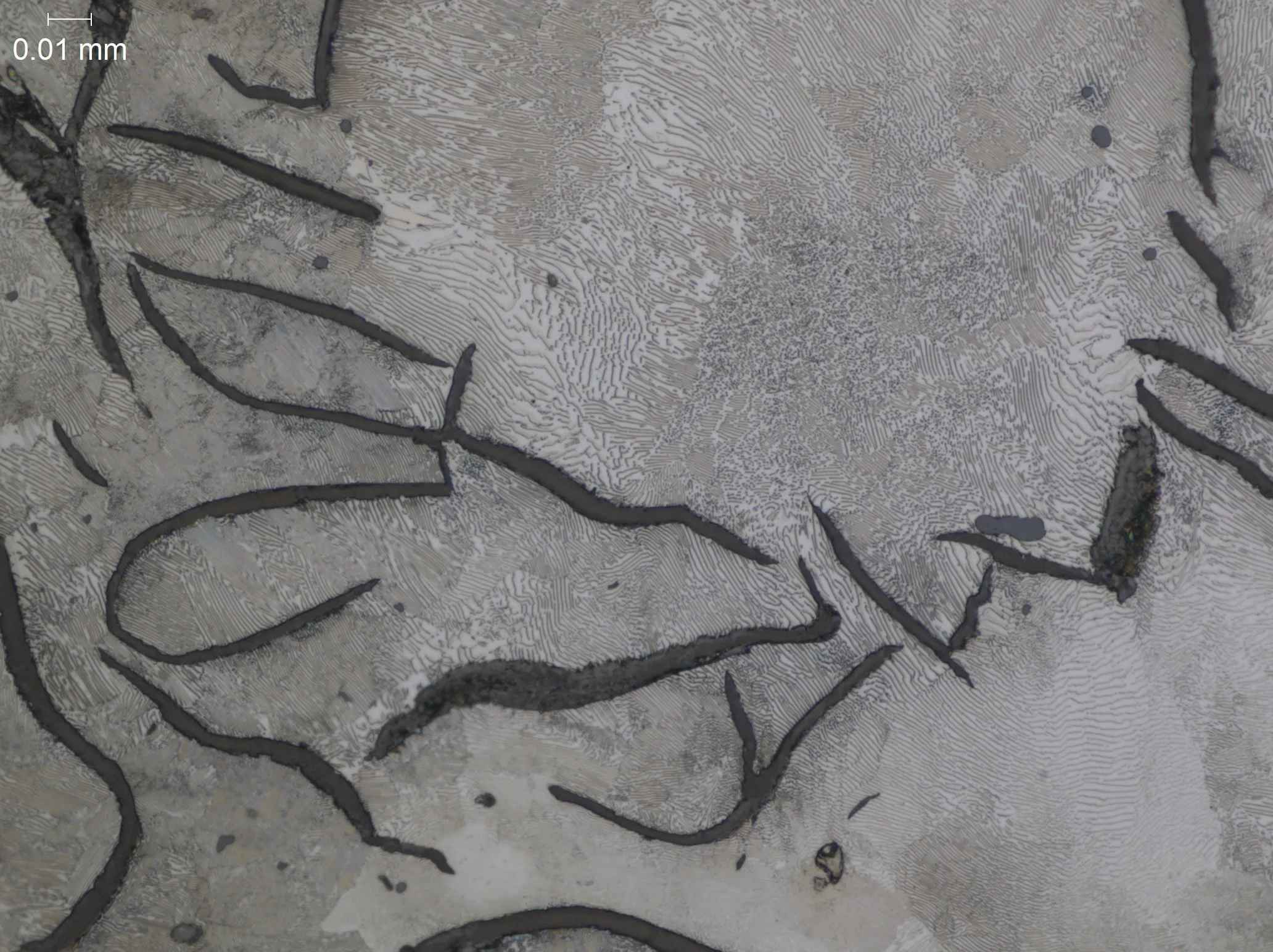 Optical photomicrograph showing the graphite flake morphology and matrix structure of an etched gray cast iron specimen for foundry quality verification.