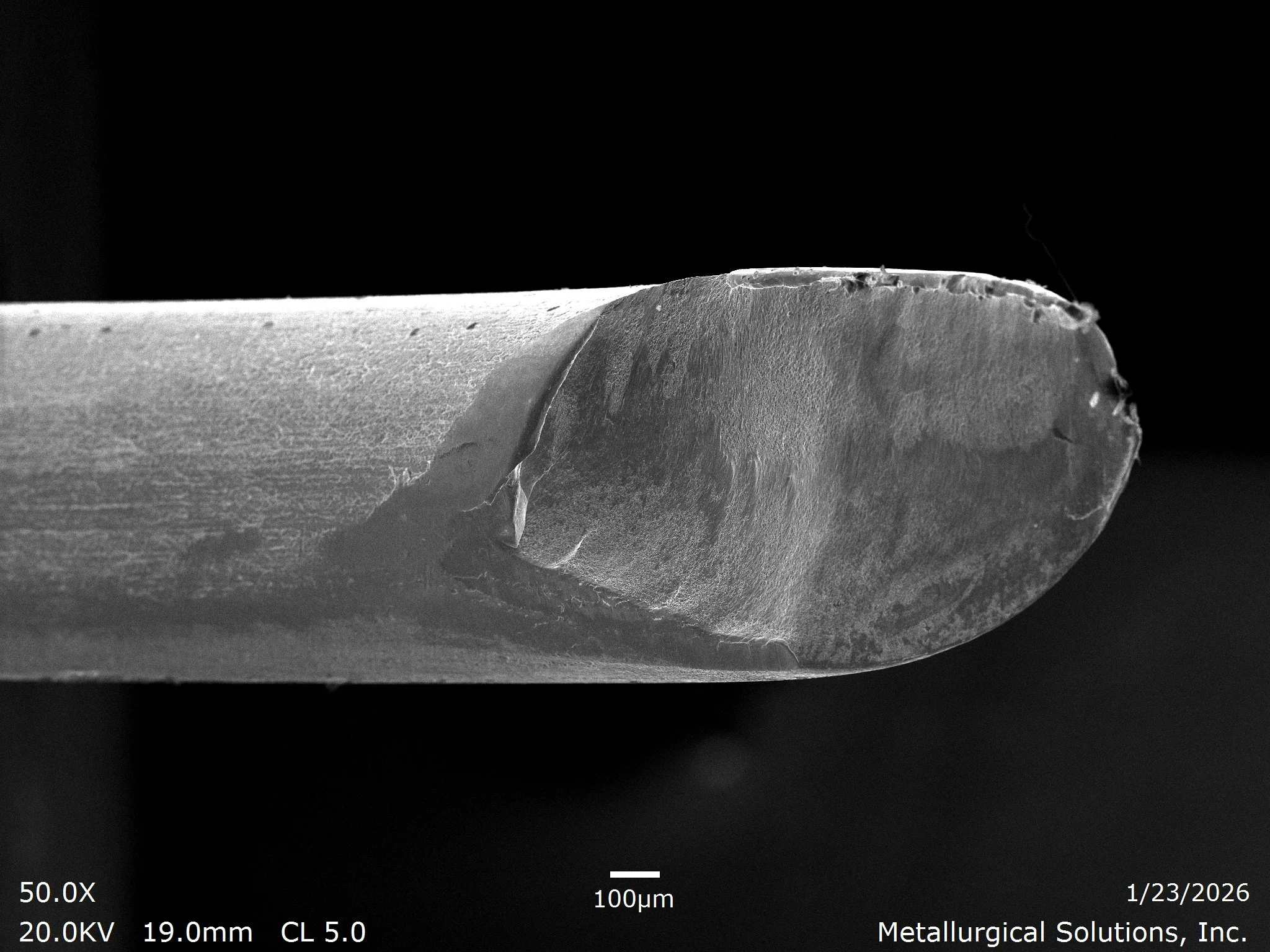 Scanning electron micrograph (SEM) at 50x magnification evaluating the fracture surface morphology of a broken stainless steel surgical instrument to identify fatigue or mechanical overload mechanisms.