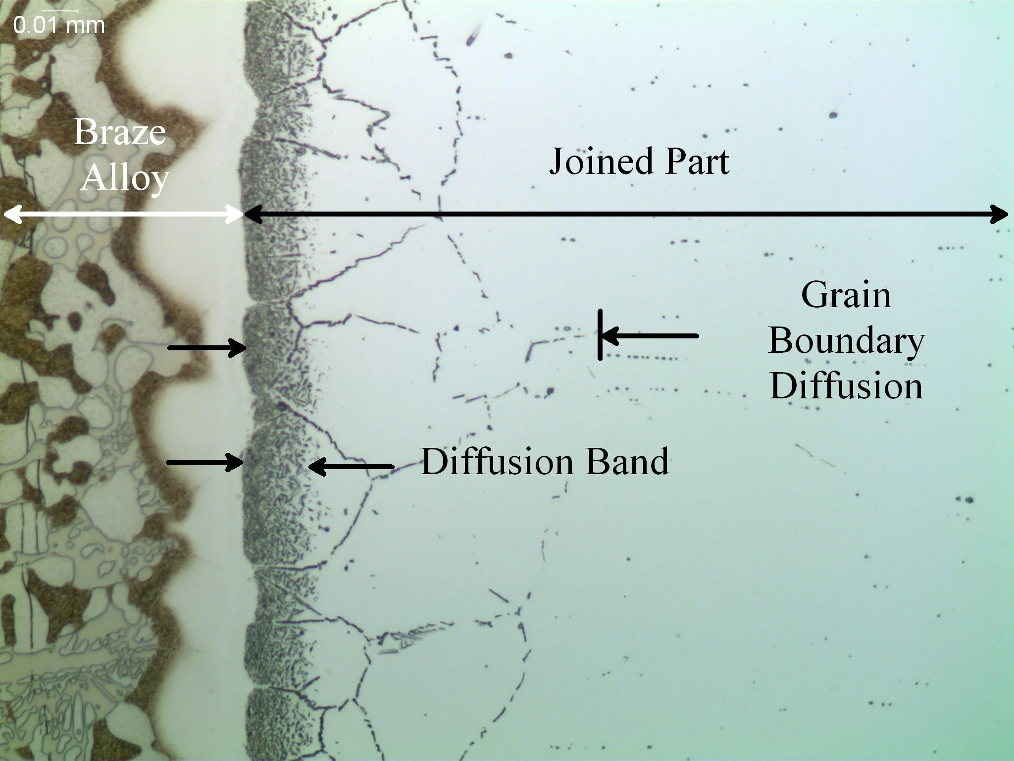 Braze alloy grain boundary diffusion, metallographic cross-sectional evaluation identifying a distinct interfacial diffusion band and an intergranular grain boundary diffusion network within the joined part per AWS C3.8M and ASTM E3 under ISO 17025 a