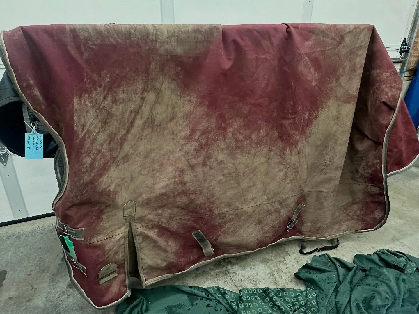 dirty red horse blanket
