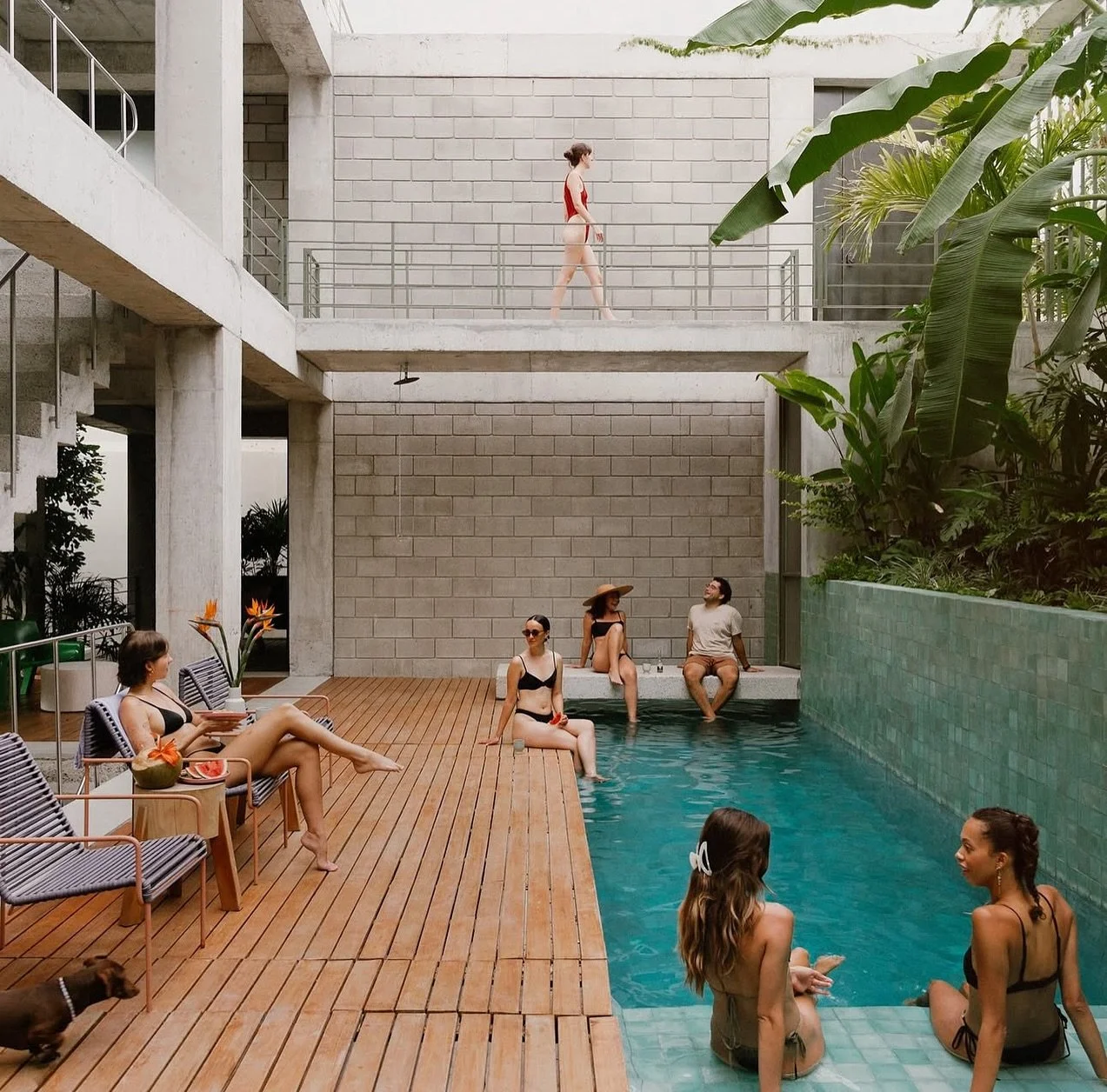 Afternoon swims and early morning coffee at @nicosayulita - our trip casa in sayulita 🌴 

Link in bio to learn more about our February trip! 

#seeyousoon #womenstrip