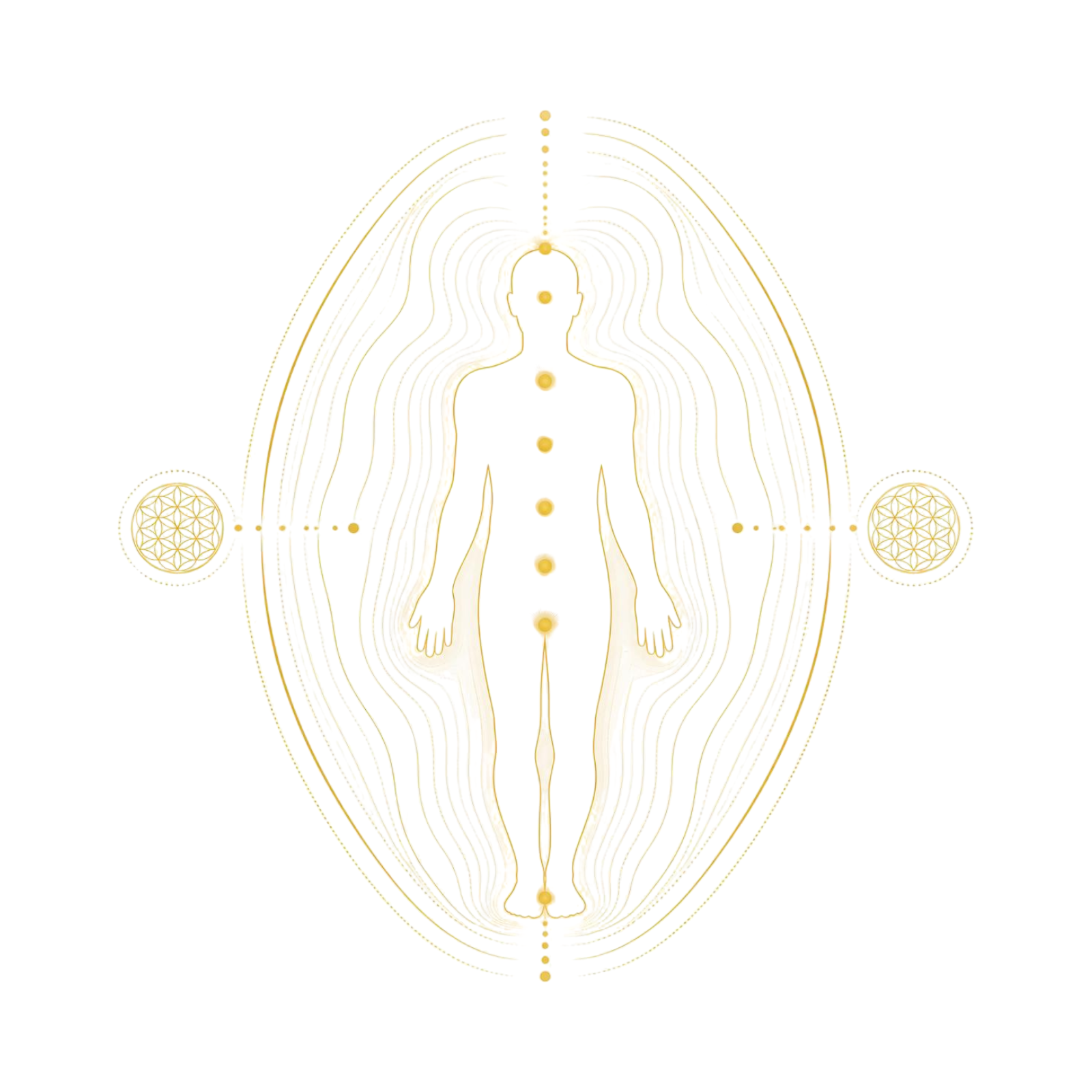 Biofield Mechanics and Asynchronous Distance Reiki: A Non-Touch Approach to Autonomic Nervous System Regulation and Stress Recovery