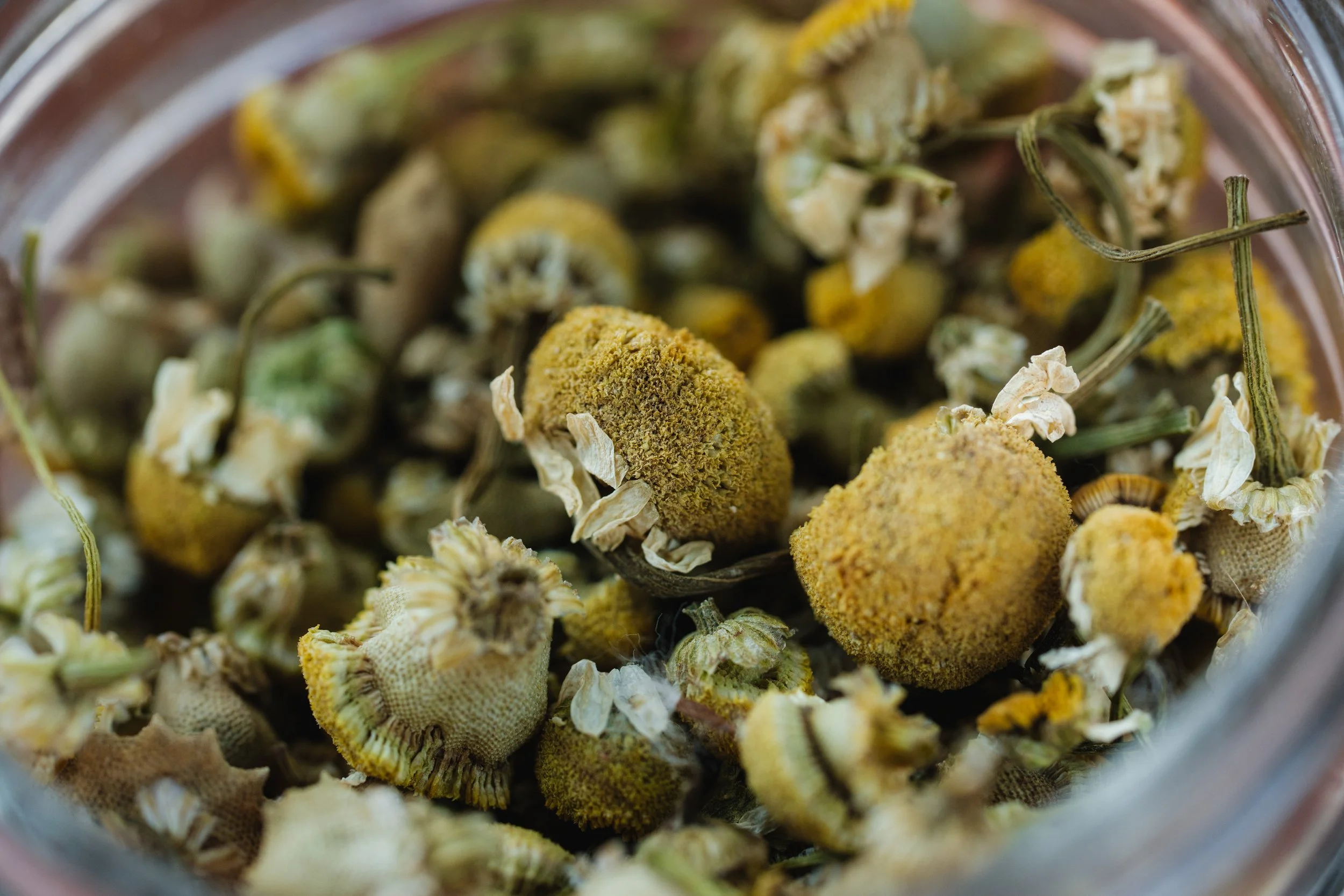 chamomile my chaos.jpg