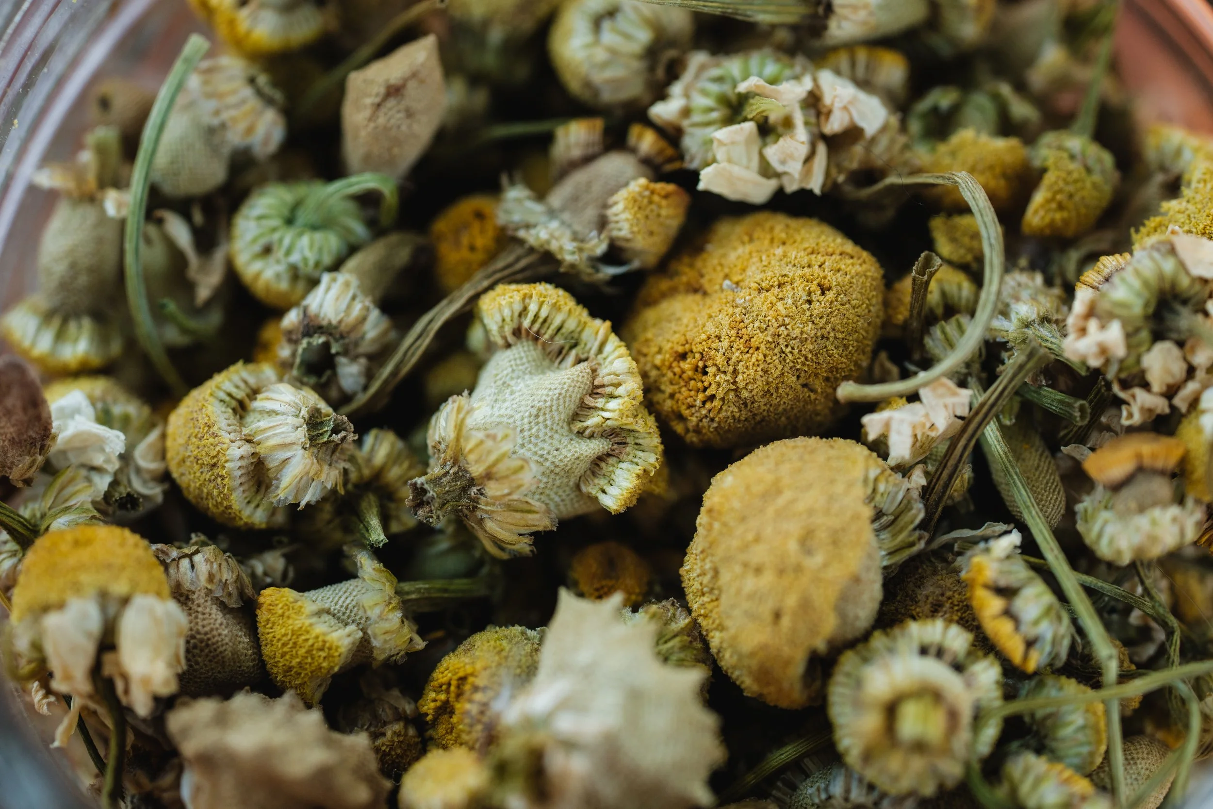 Chamomile My Chaos