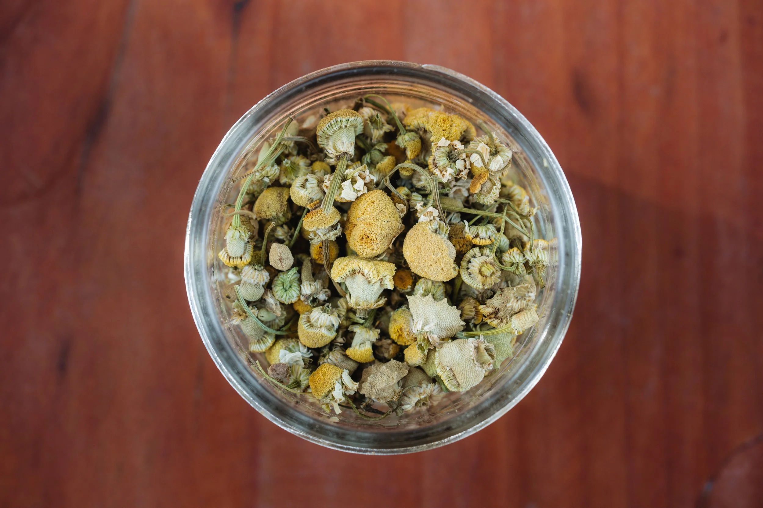 chamomile my chaos2.jpg