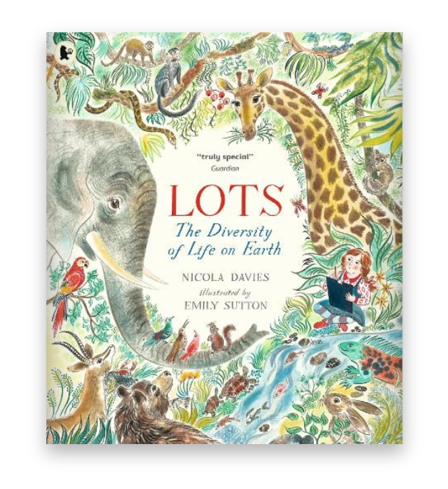 Emily Sutton book Lots