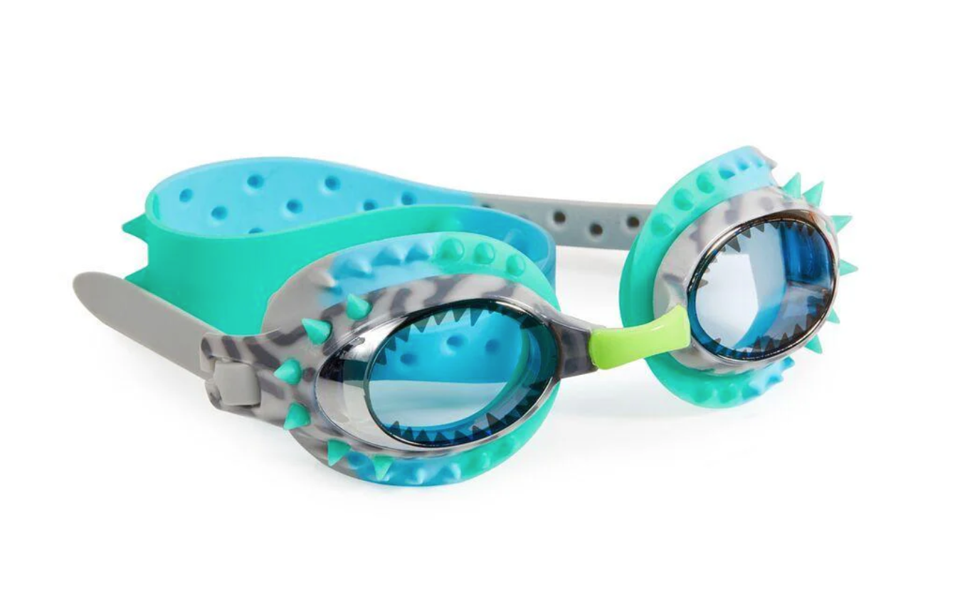 raptor blue grey goggles