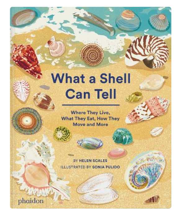 What Can a Shell Tell.png