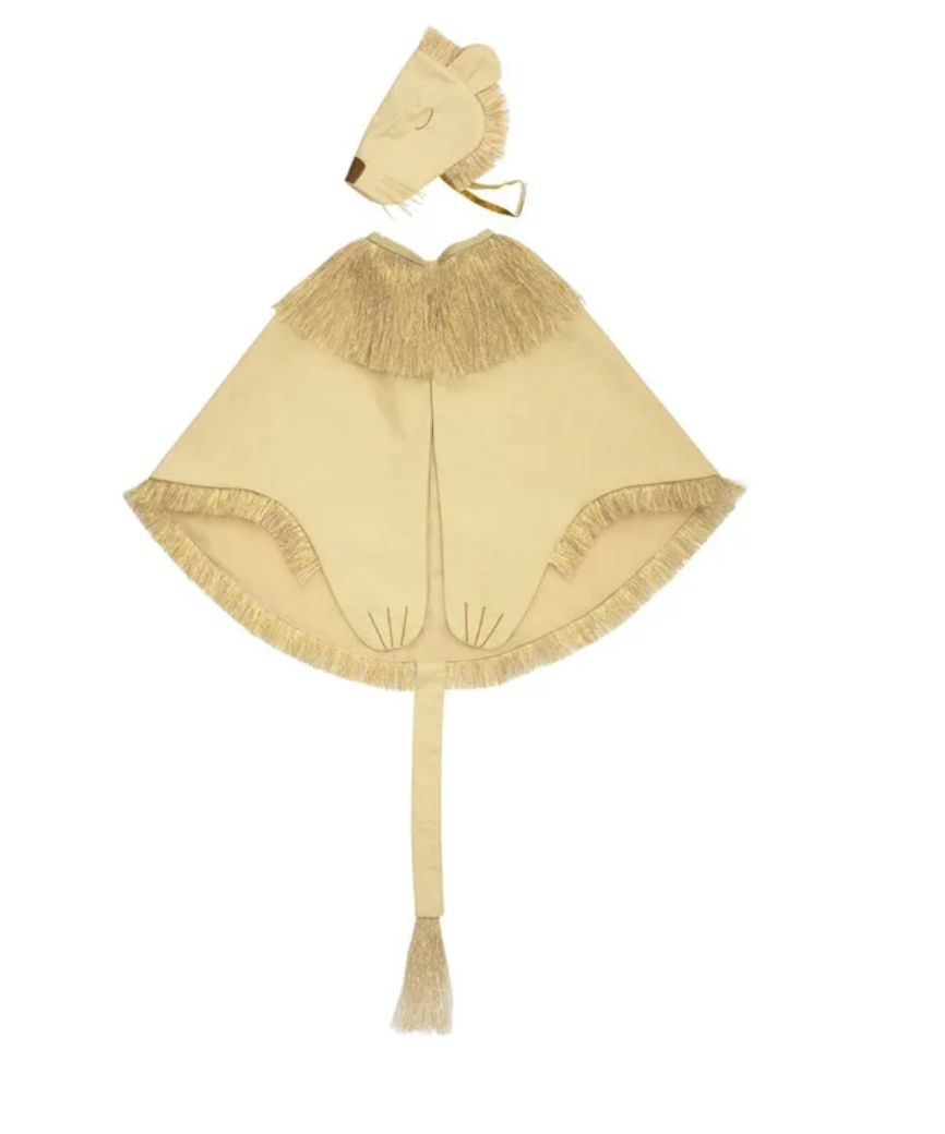 children's lion costume charming
