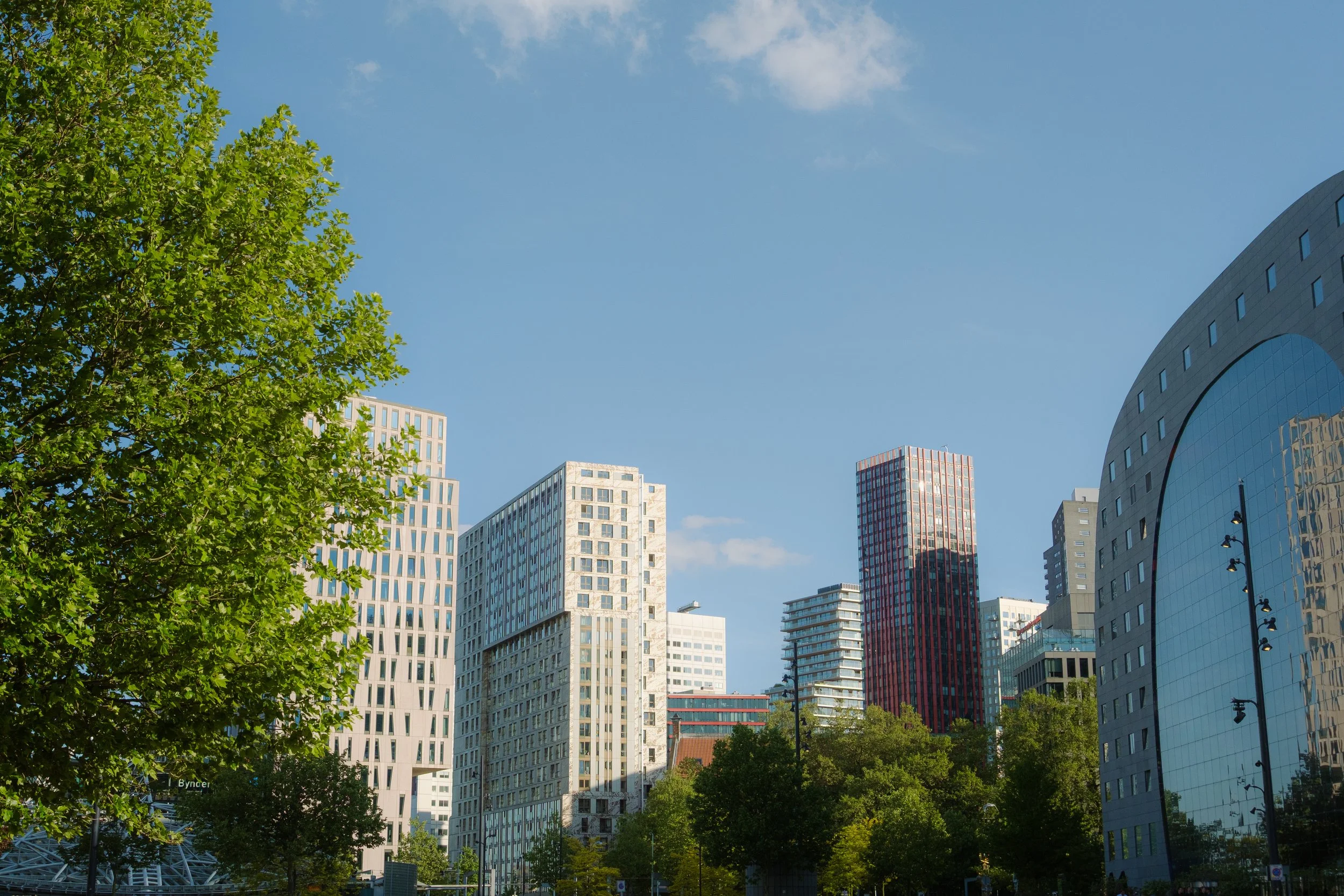 How to Prepare for a Job Interview