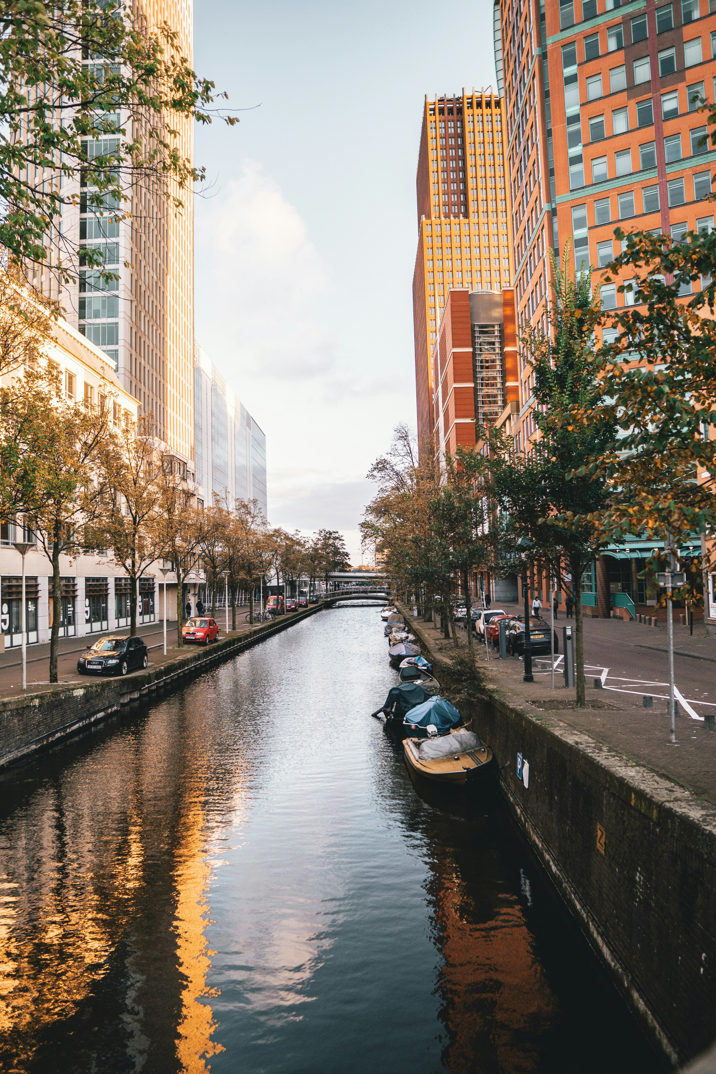 Karakteristiek grachtje in Den Haag, stad waar Nexie sollicitatiecoaching biedt aan starters, professionals en beleidsmedewerkers.