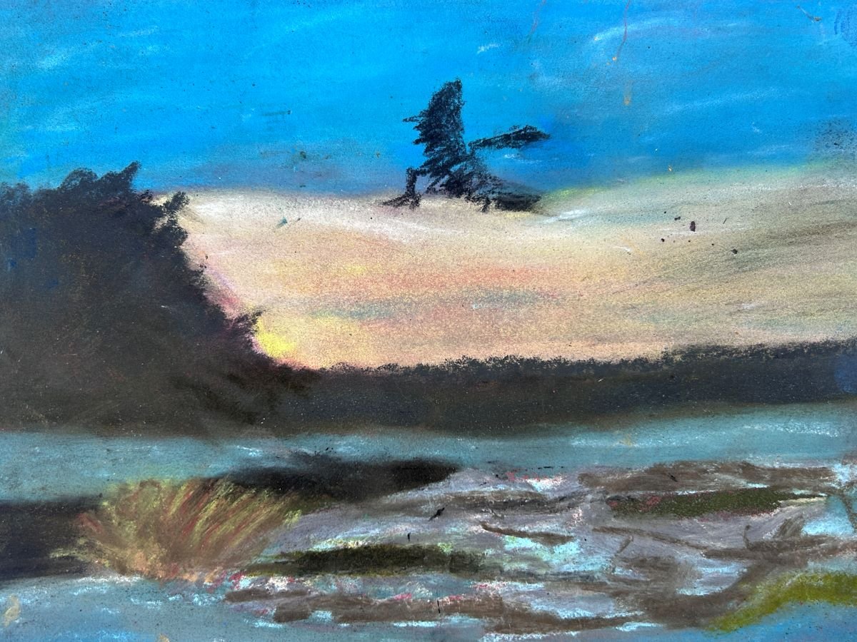Blue heron taking in the sights