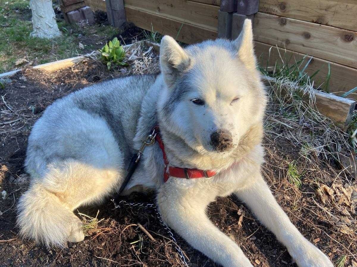 Aurora relaxing and enjoying the outdoors